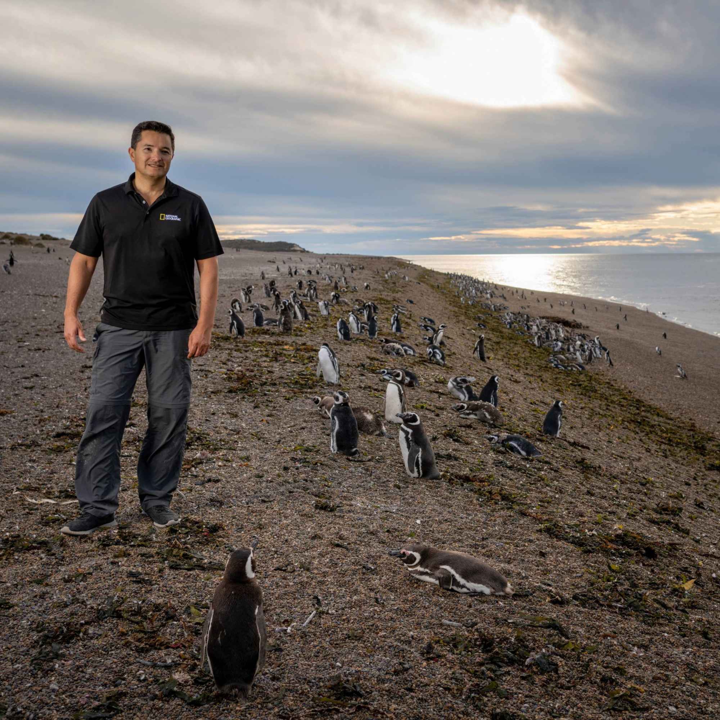 Pablo García Borboroglu – The penguin guardian of Patagonia