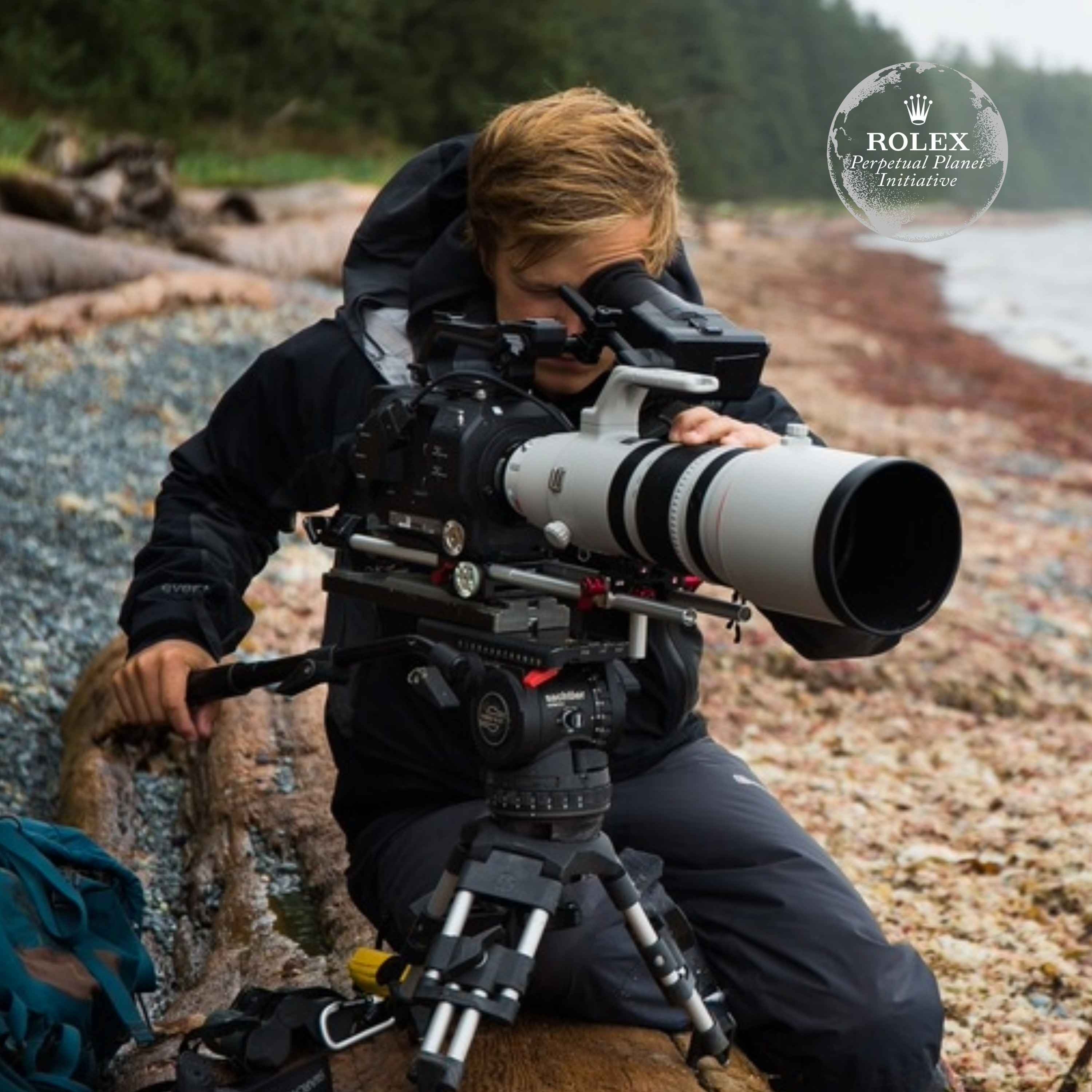 Bertie Gregory: why wildlife filmmaking can help protect nature episode artwork