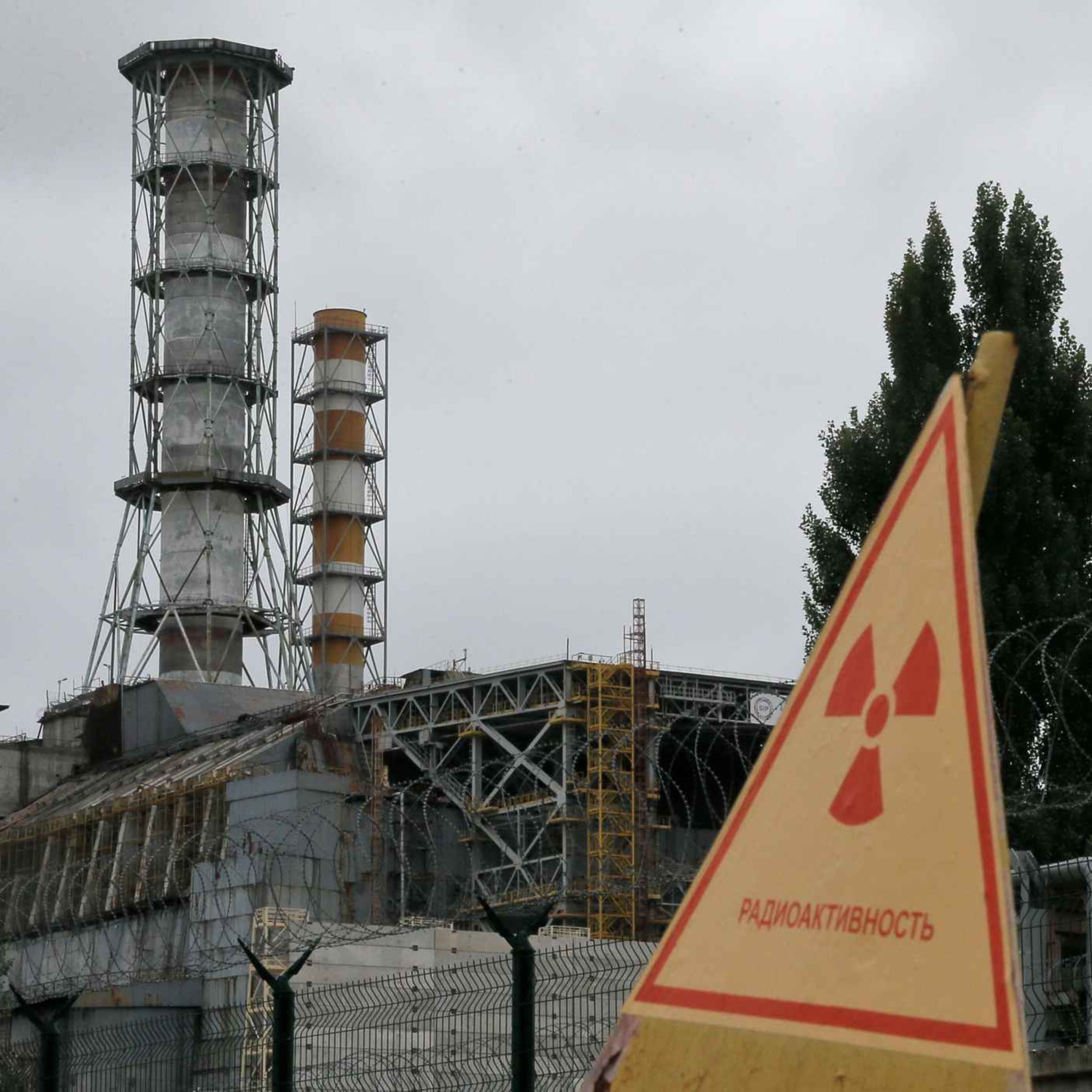 Forskningspodden #41: Tsjernobyl og lammelår, tiger-personlighet og sliten av isolasjon