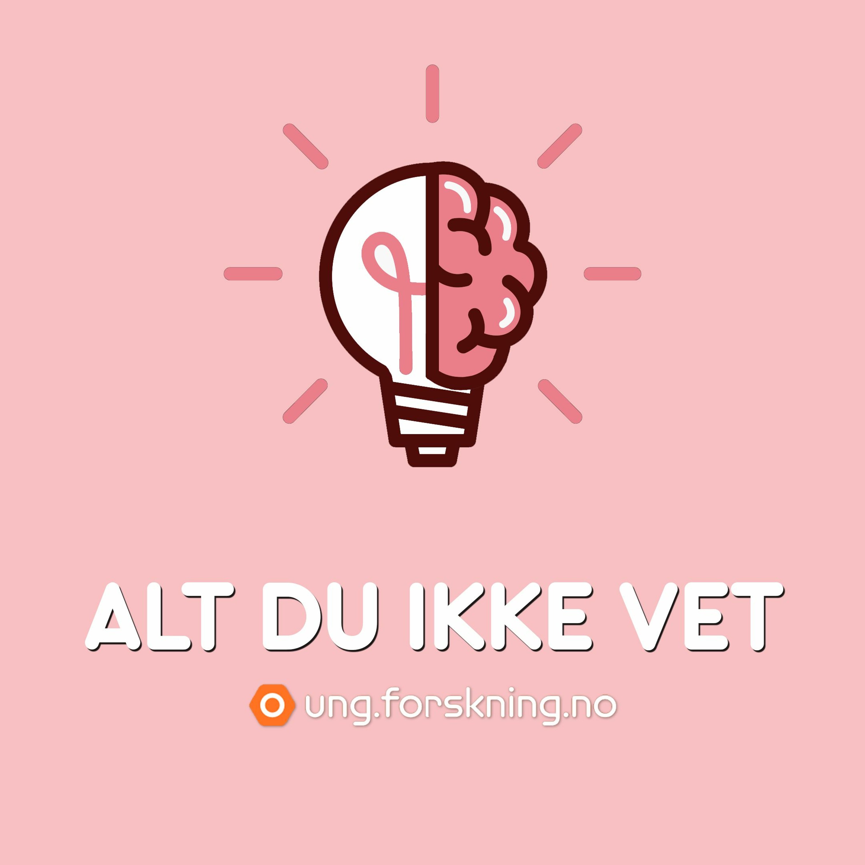 forskning.no