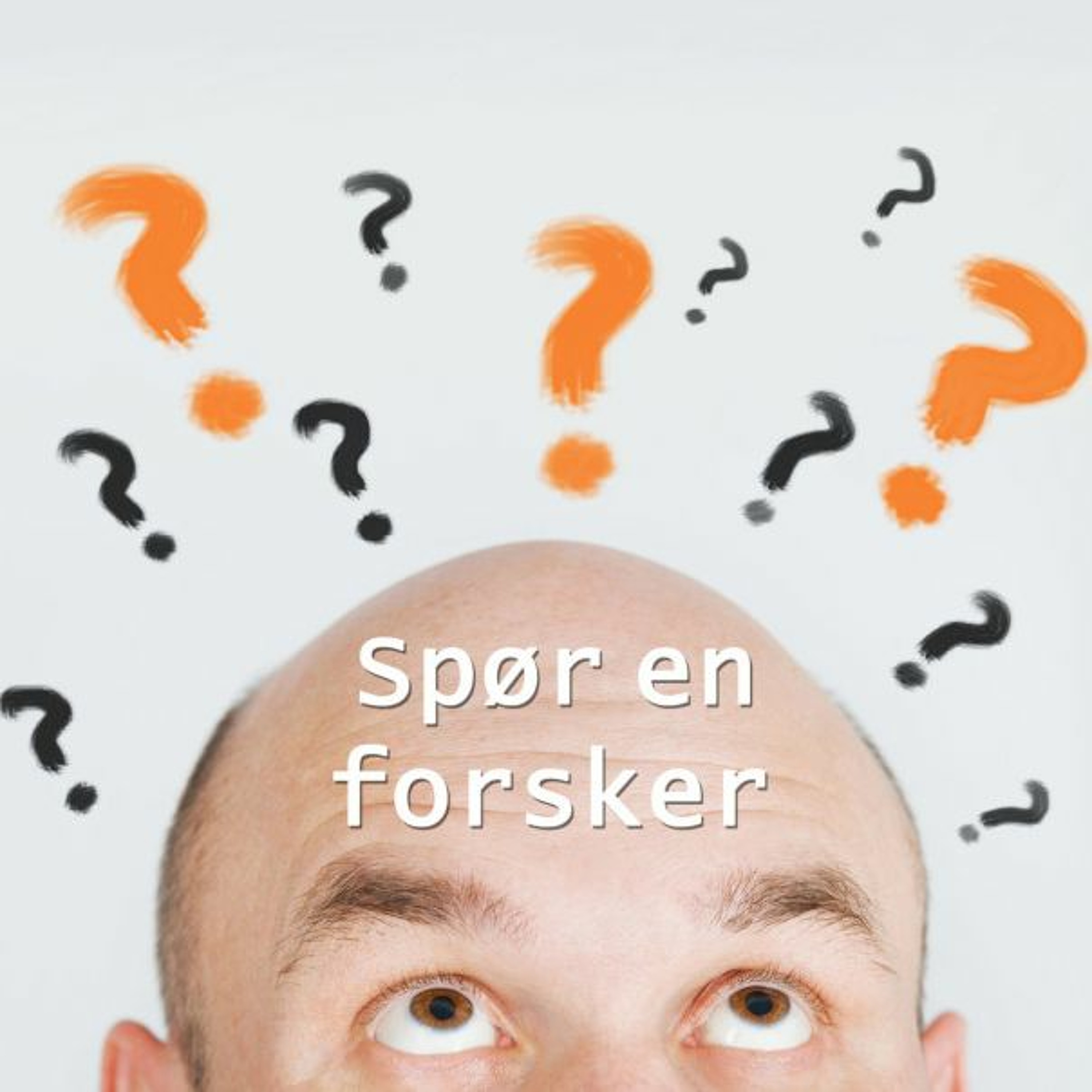 forskning.no