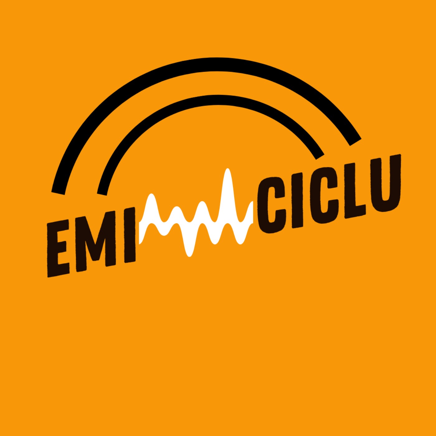 EMICICLU