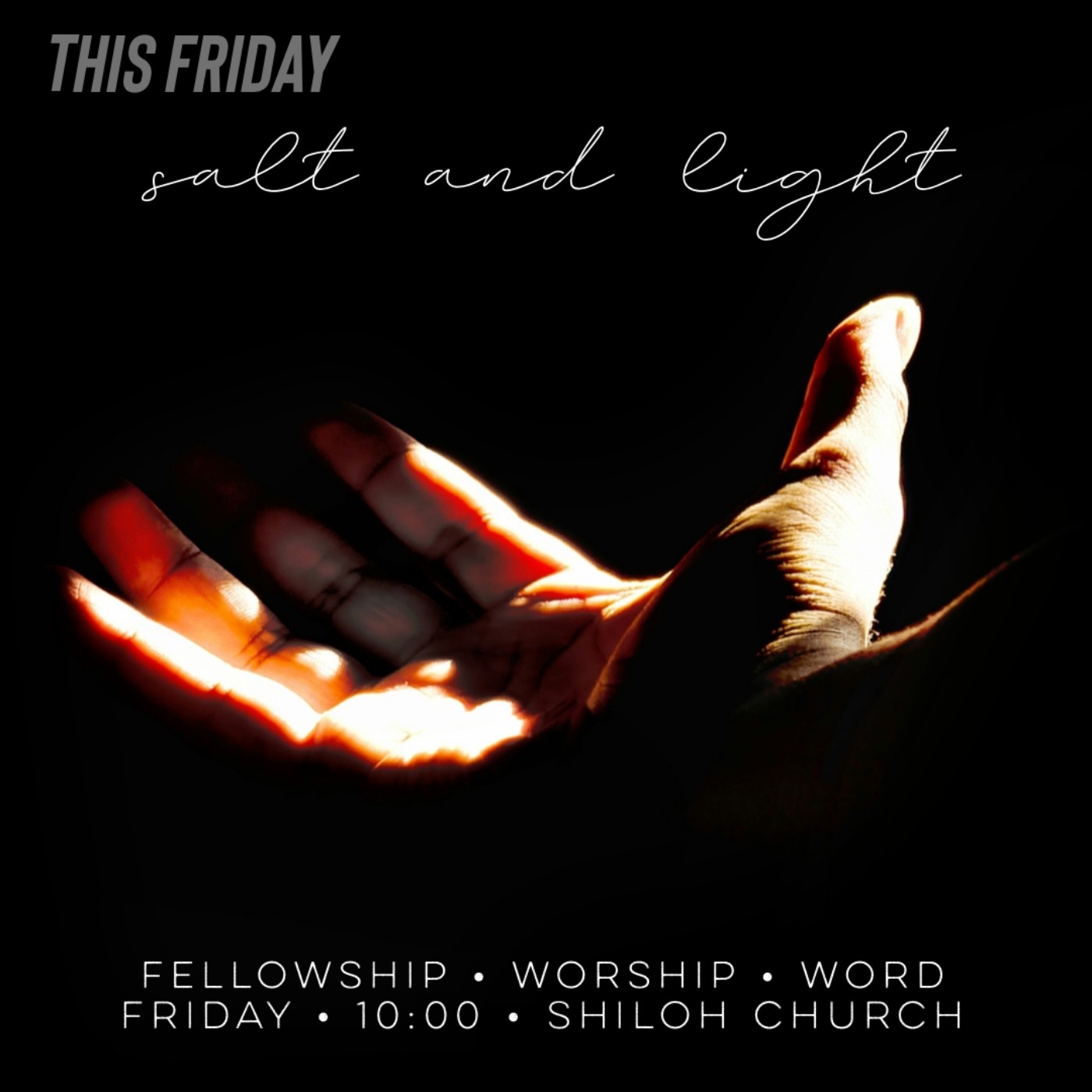 Salt and Light (Ray Booysen)