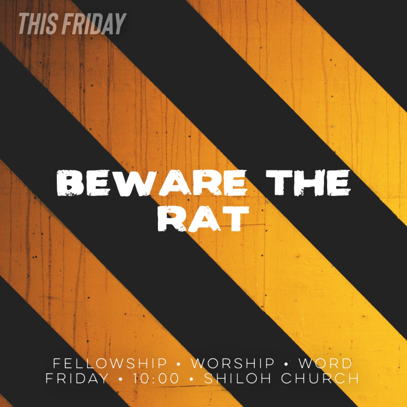 Beware The Rat (Devlin Zents)