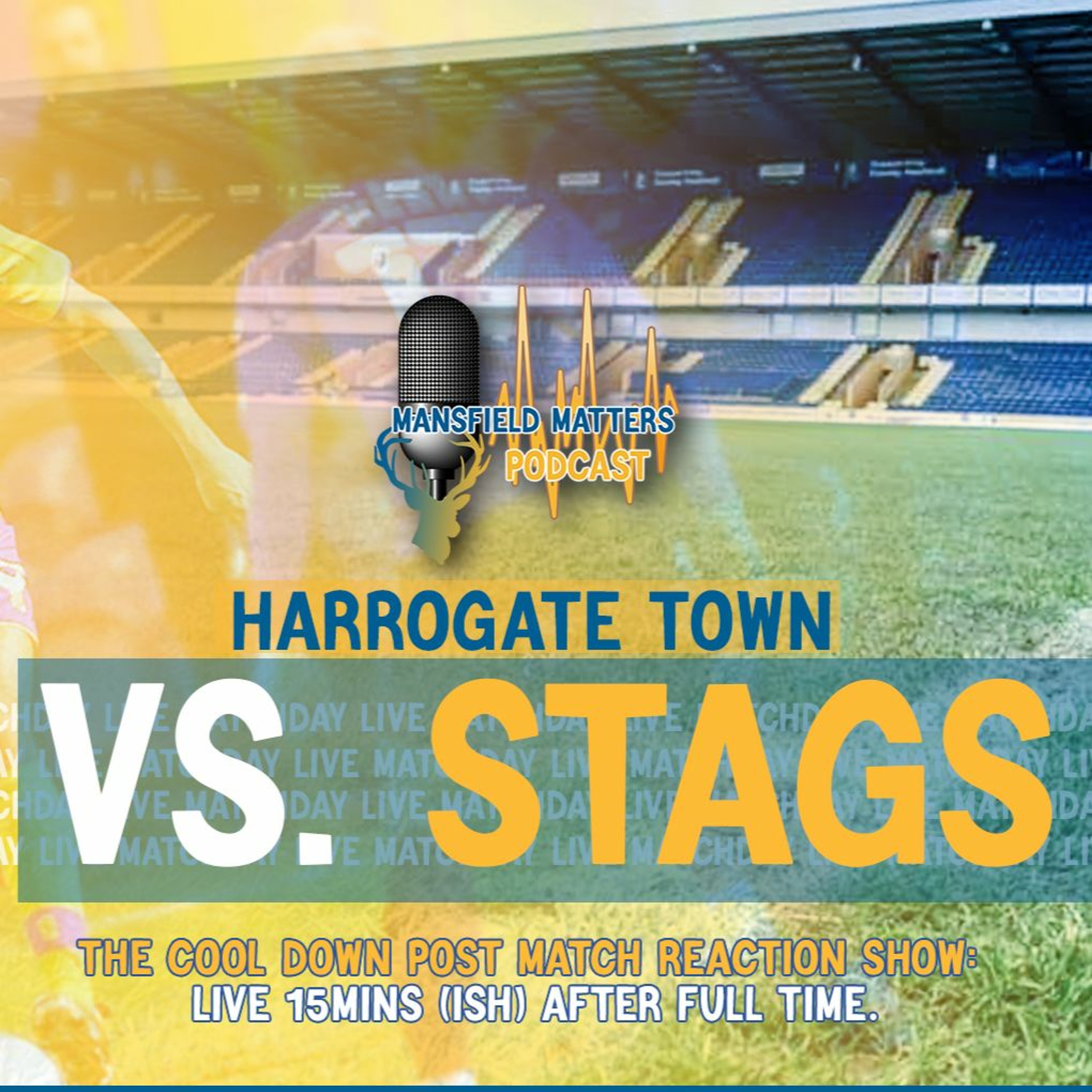 Mansfield Matters THE COOL DOWN EP36 Harrogate Town 1 Stags 0 episode artwork