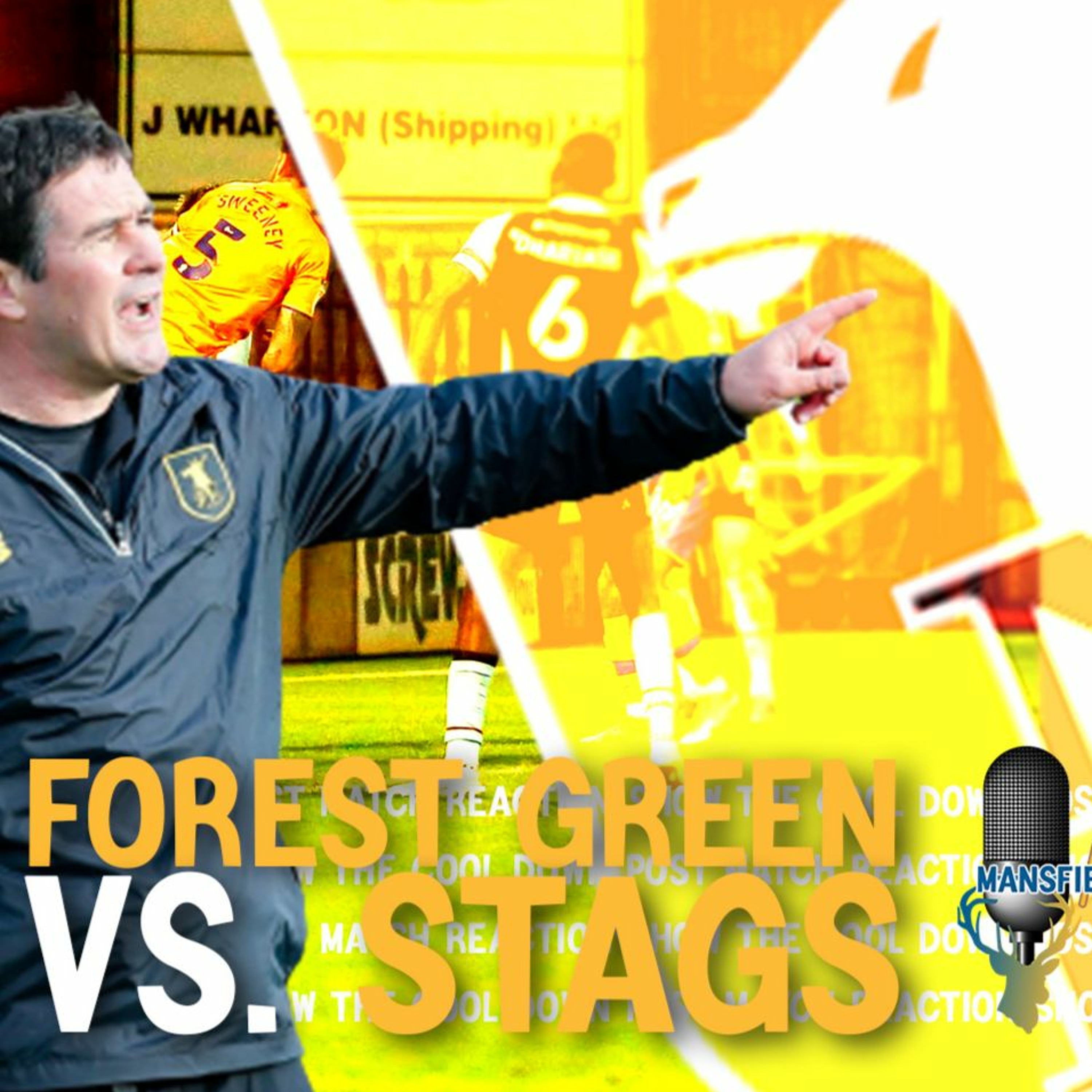Mansfield Matters THE COOL DOWN EP17 Forest Green Rovers 1 Stags 2 THREE FOR THREE! episode artwork