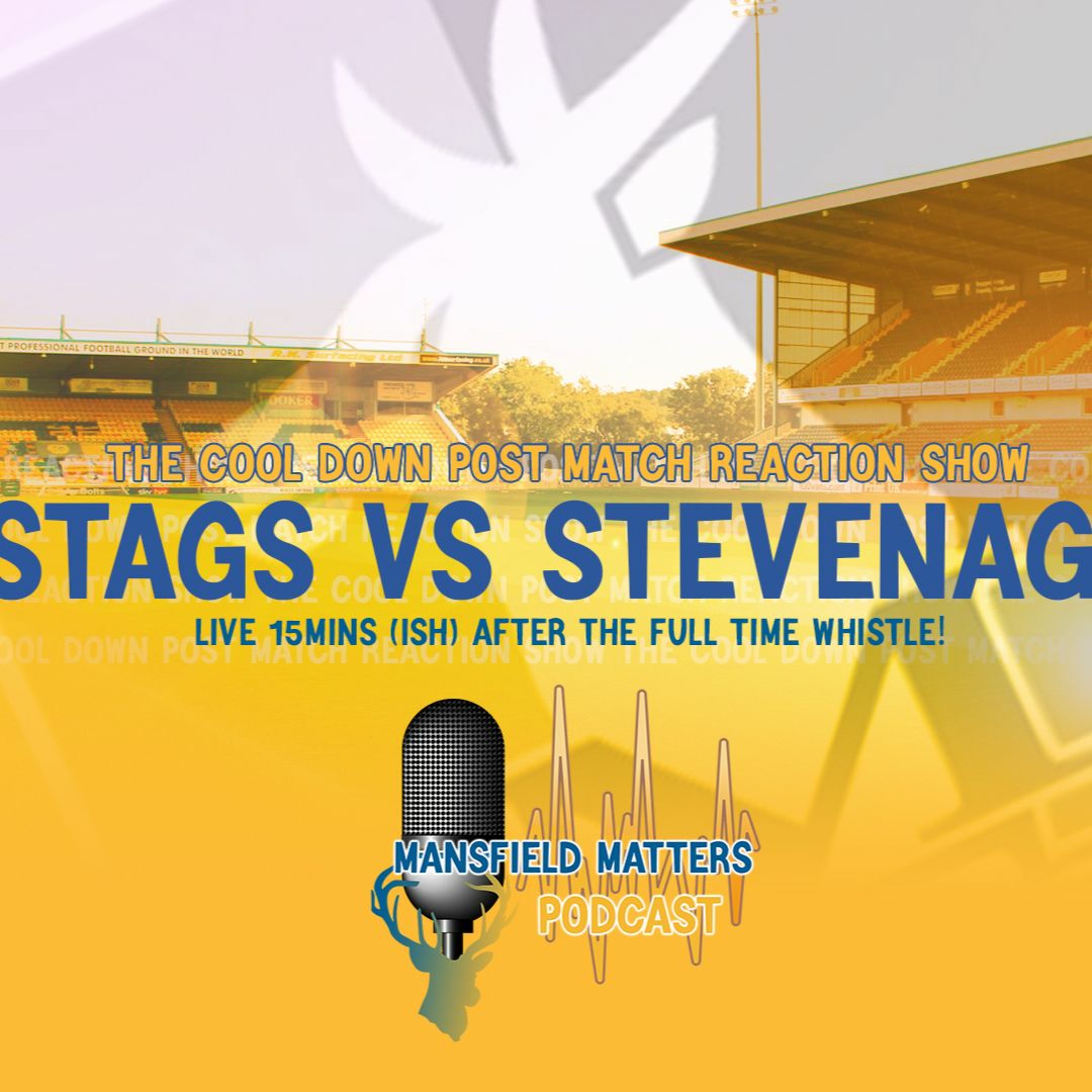 Mansfield Matters THE COOL DOWN EP08 Stags 0 Stevenage 0 episode artwork