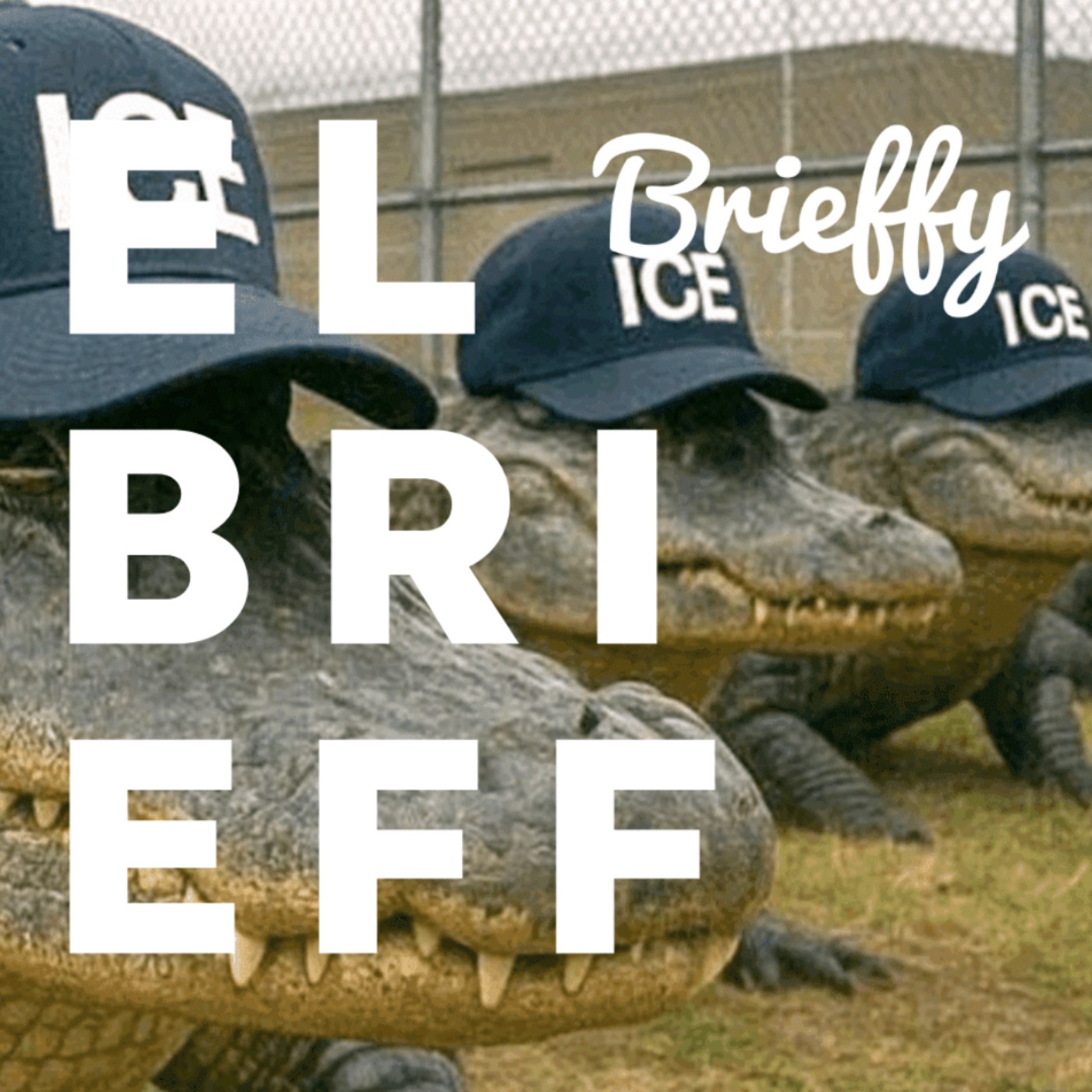 cover of episode Alligator Alcatraz: Las noticias para este miércoles