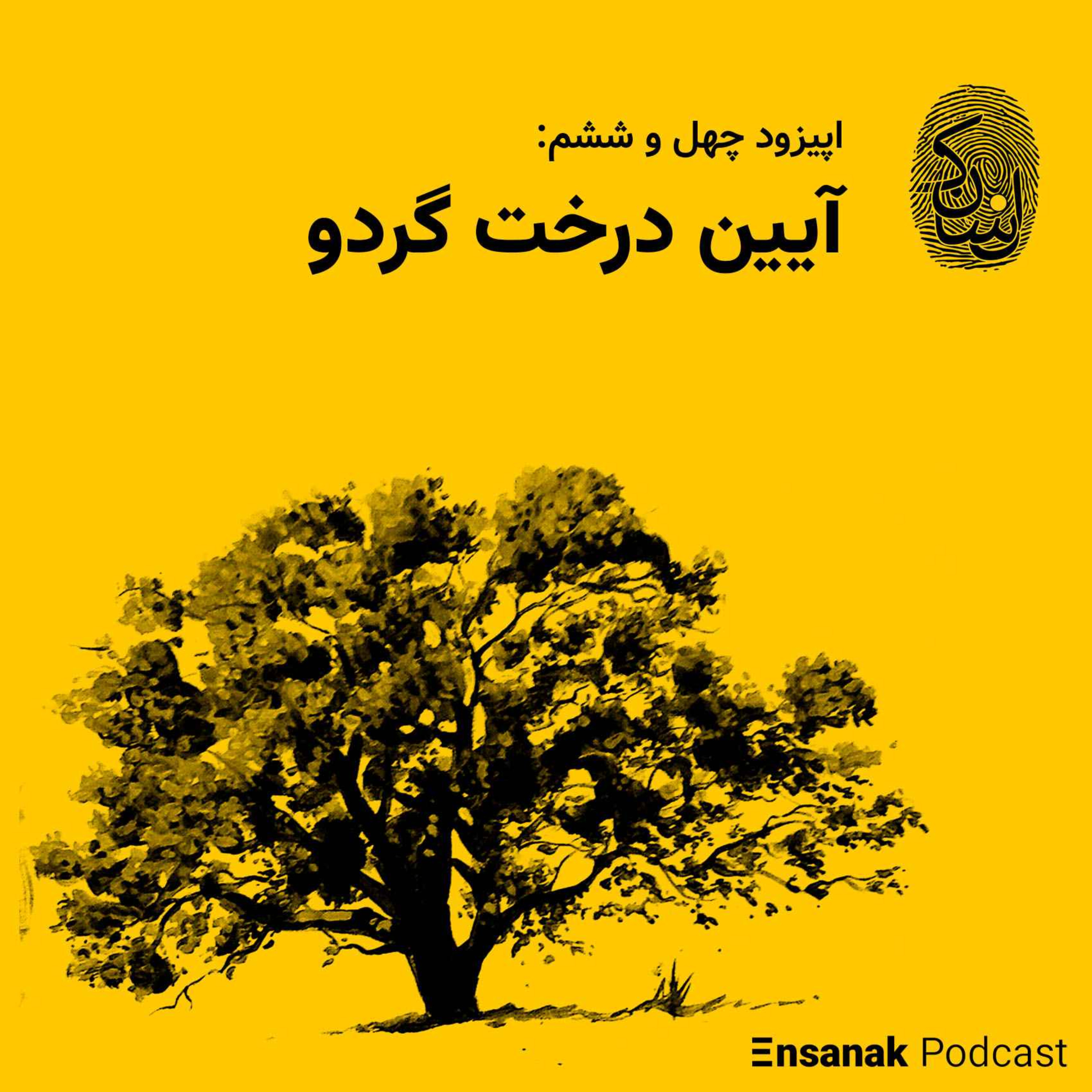 cover art for چهل و ششم: آیین درخت گردو