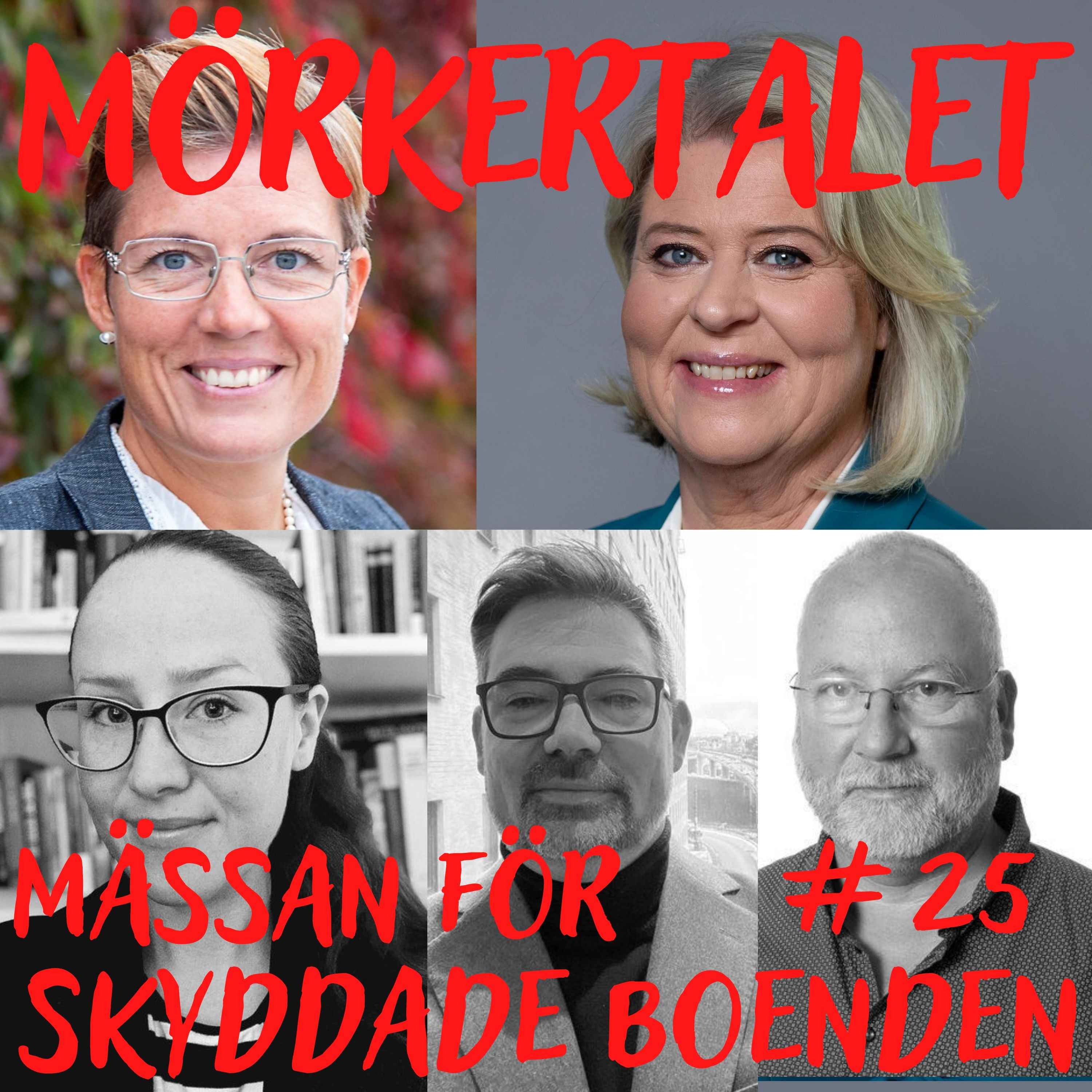 Mörkertalet
