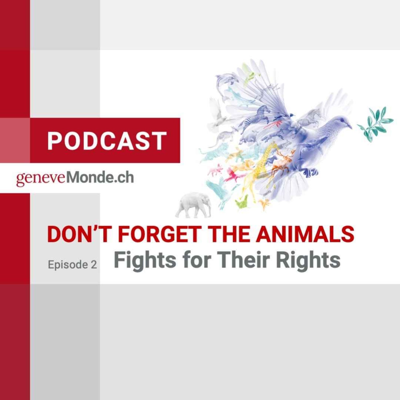 Don’t Forget the Animals: Episode 2 – Fights for Their Rights