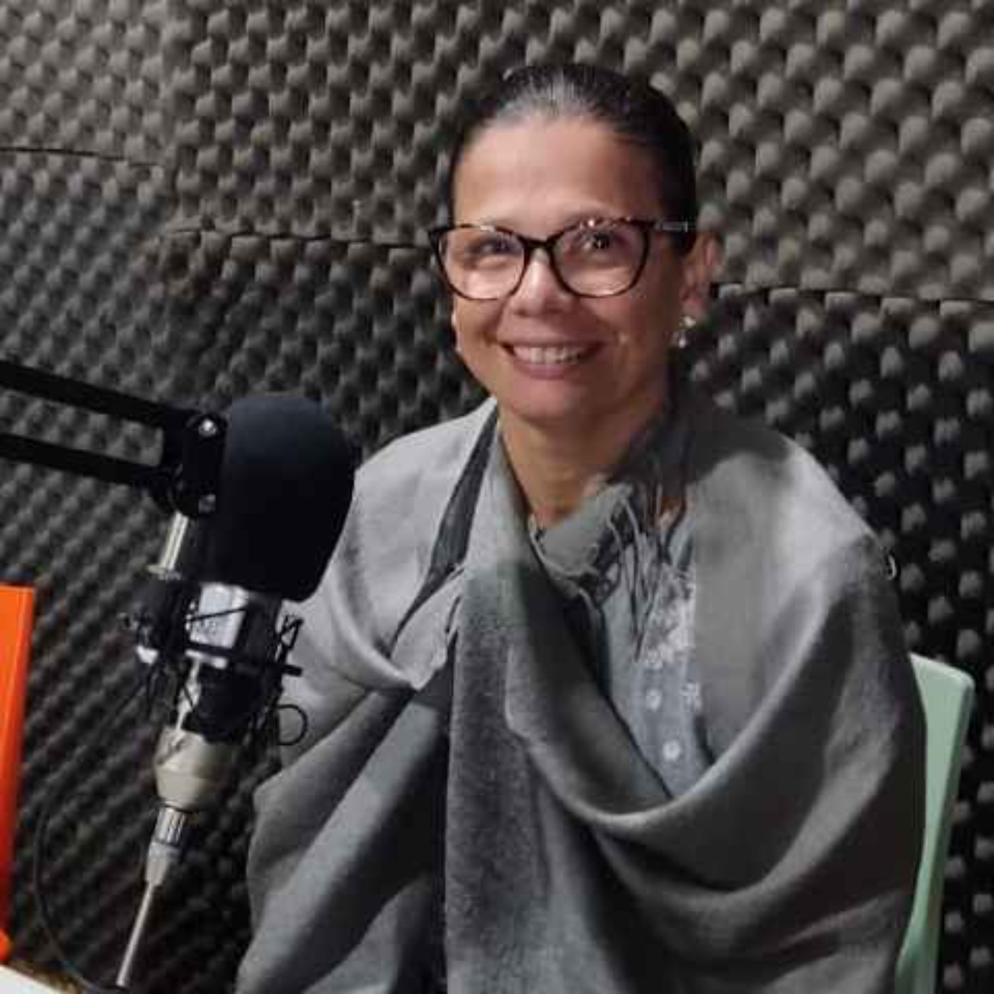 Rádio Joinville Cultural 105,1