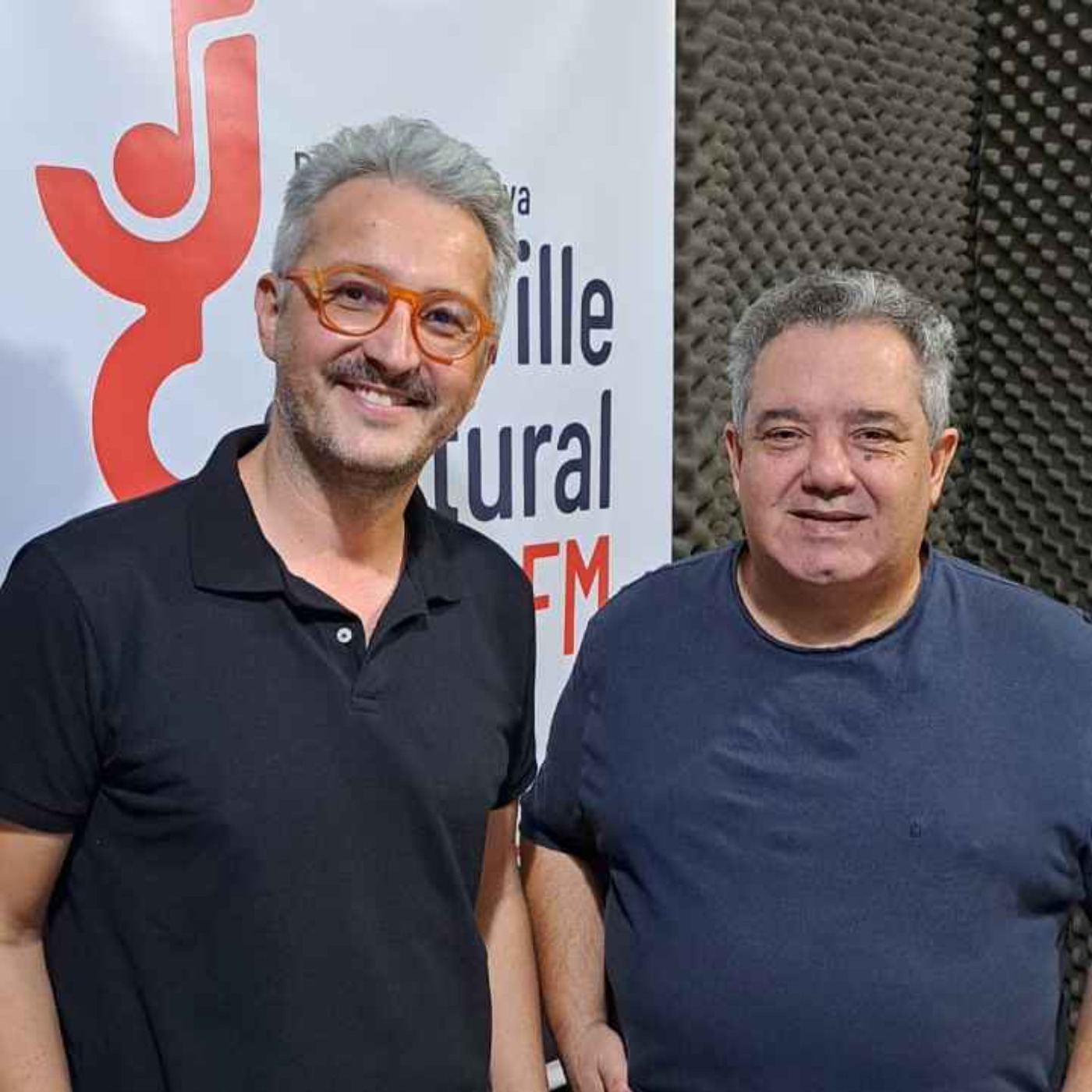 Rádio Joinville Cultural 105,1