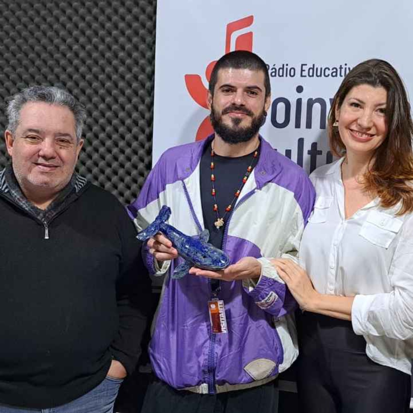 Rádio Joinville Cultural 105,1