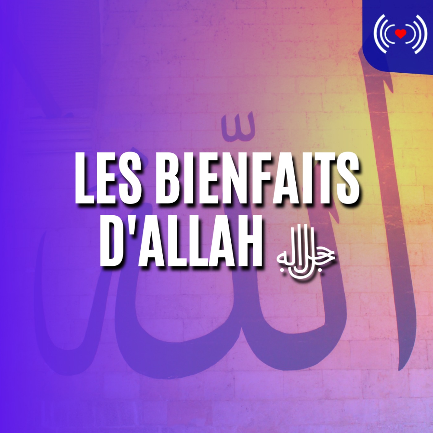 LES BIENFAITS D'ALLAH ﷻ 