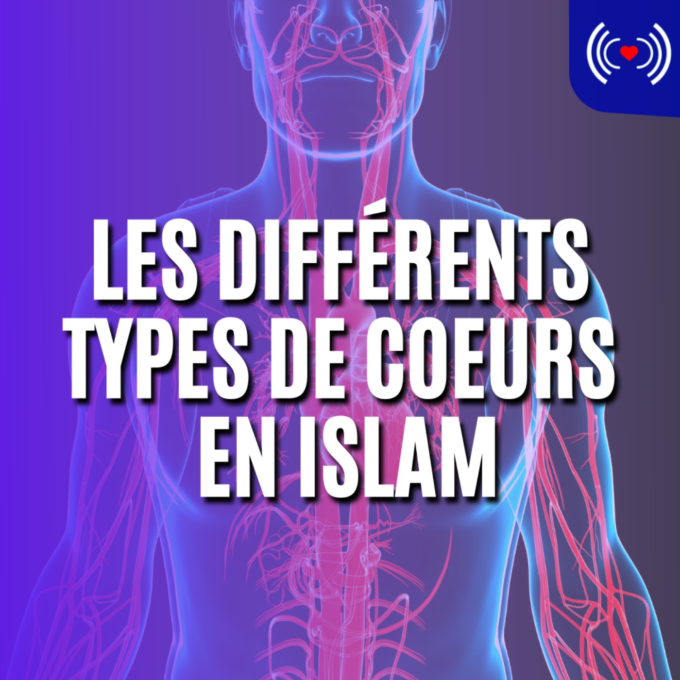 LES DIFFÉRENTS TYPES DE COEURS EN ISLAM