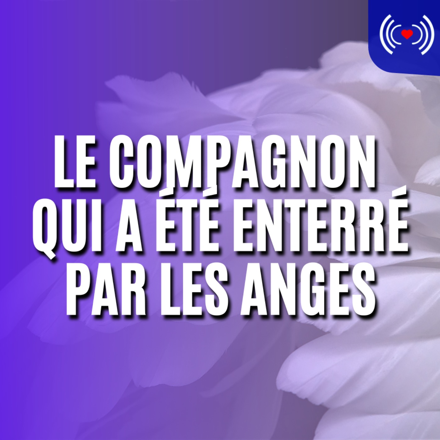 LE COMPAGNON QUI A ÉTÉ ENTERRÉ PAR LES ANGES