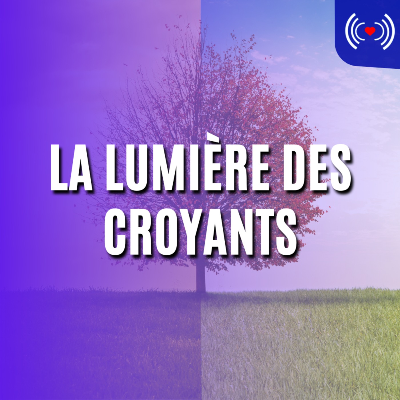 LA LUMIÈRE DES CROYANTS