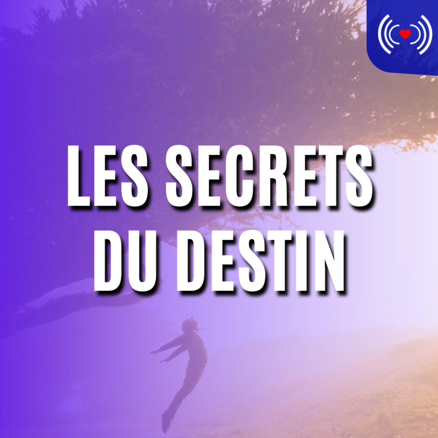 LES SECRETS DU DESTIN