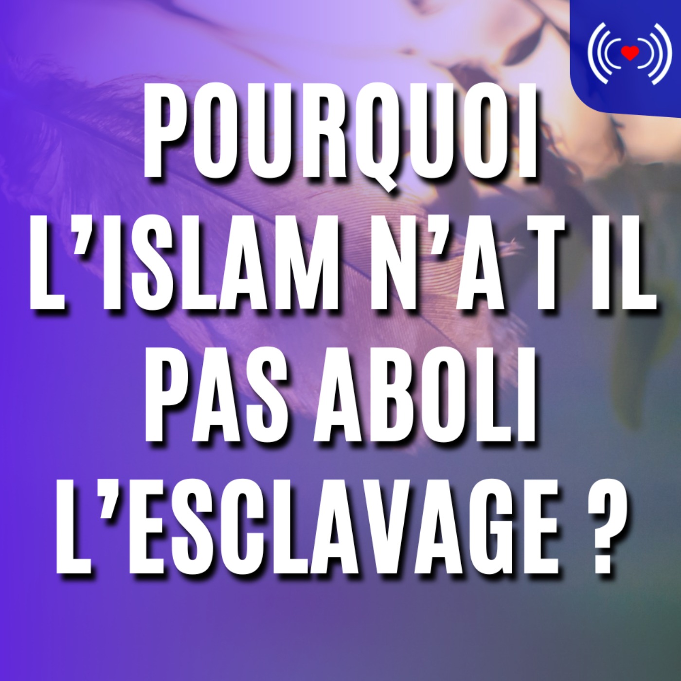 POURQUOI L’ISLAM N’A T IL PAS ABOLI L’ESCLAVAGE ?