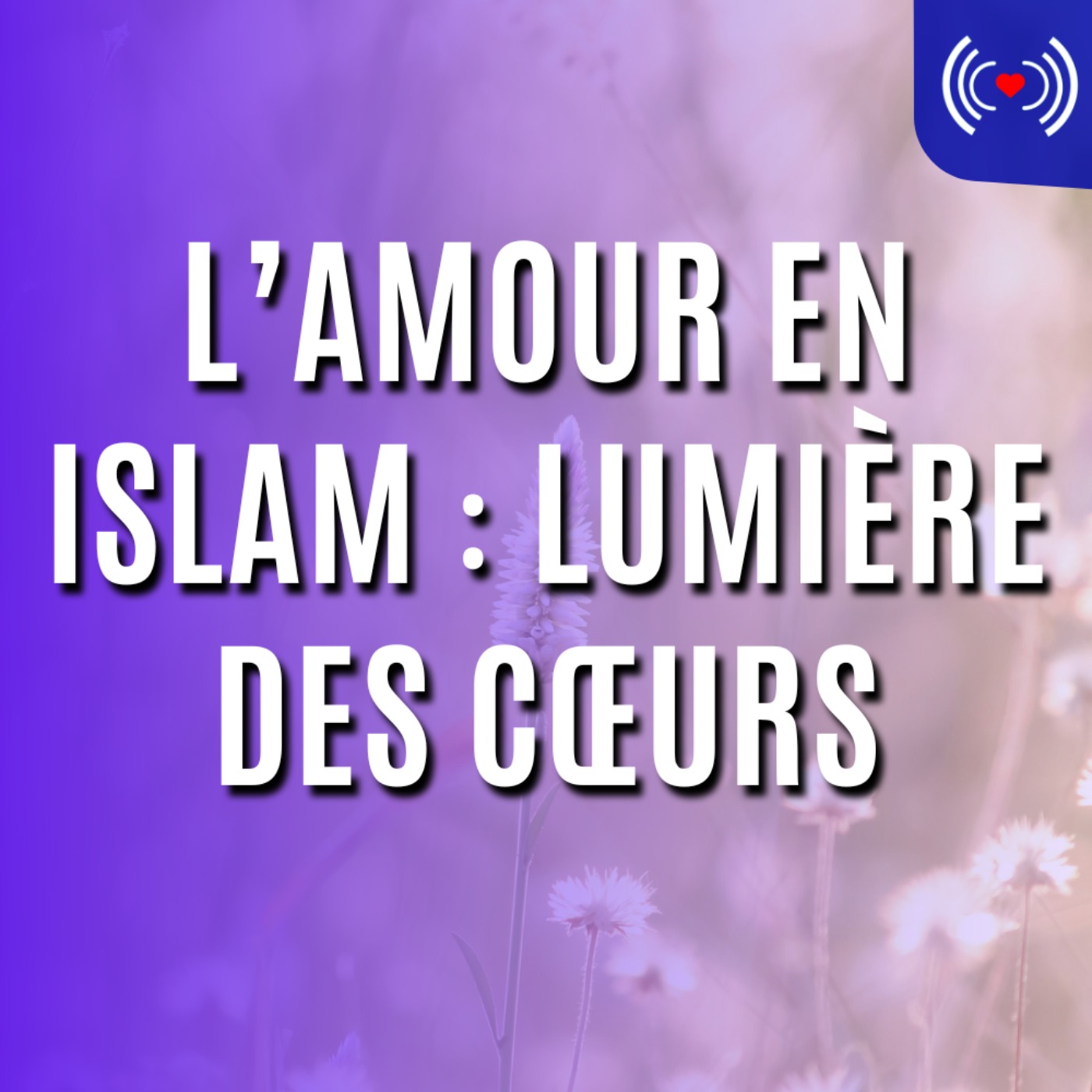 L’AMOUR EN ISLAM ꞉ LUMIÈRE DES CŒURS