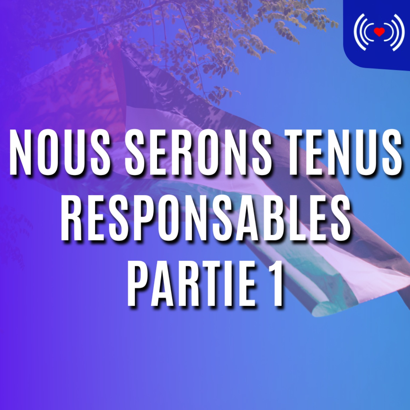 NOUS SERONS TENUS RESPONSABLES - PARTIE 1 episode artwork