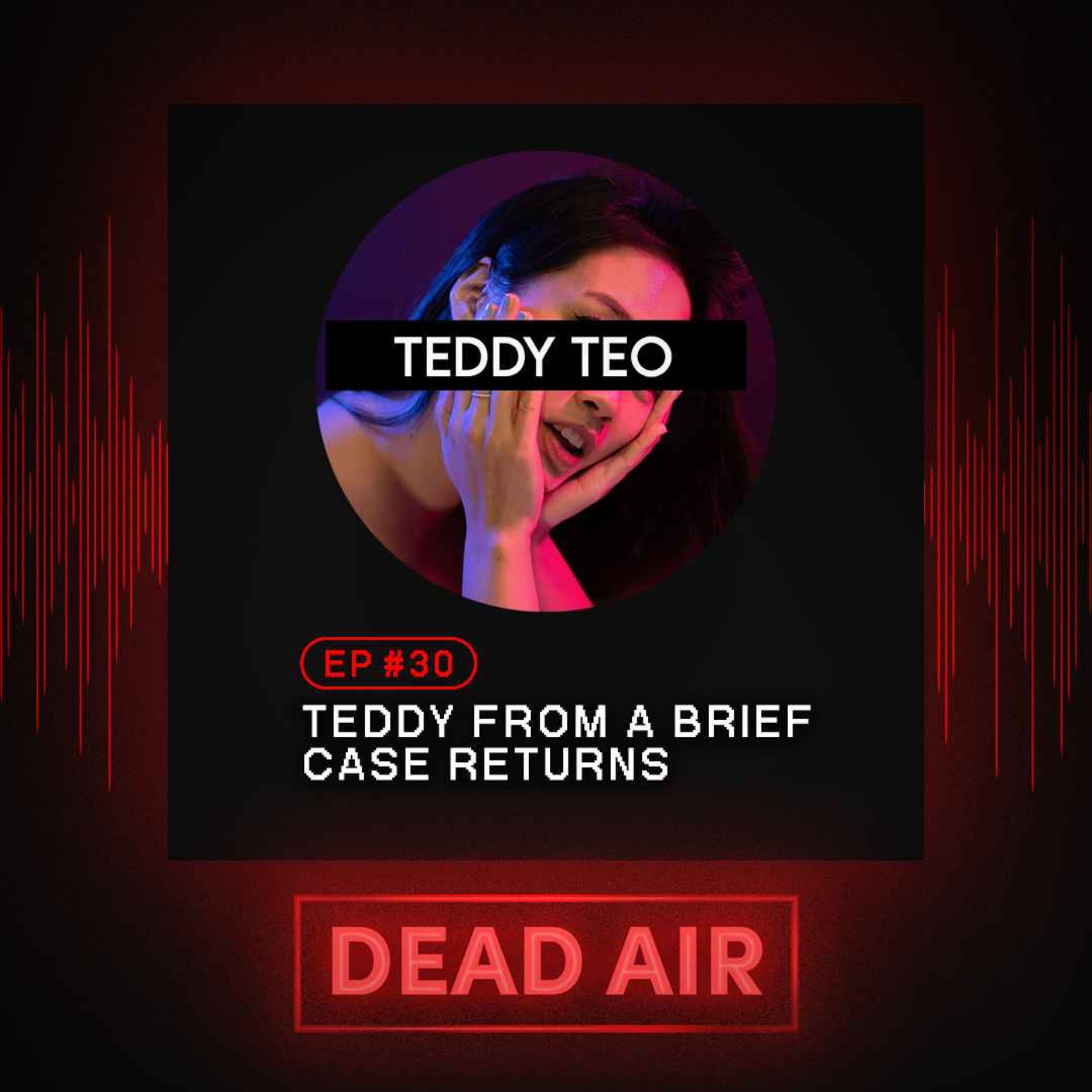 cover art for Teddy From A Brief Case Returns - DEAD AIR