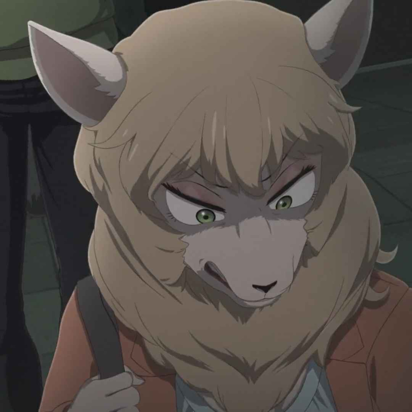 Beastars S3 eps 1 + 2: Thugging it out