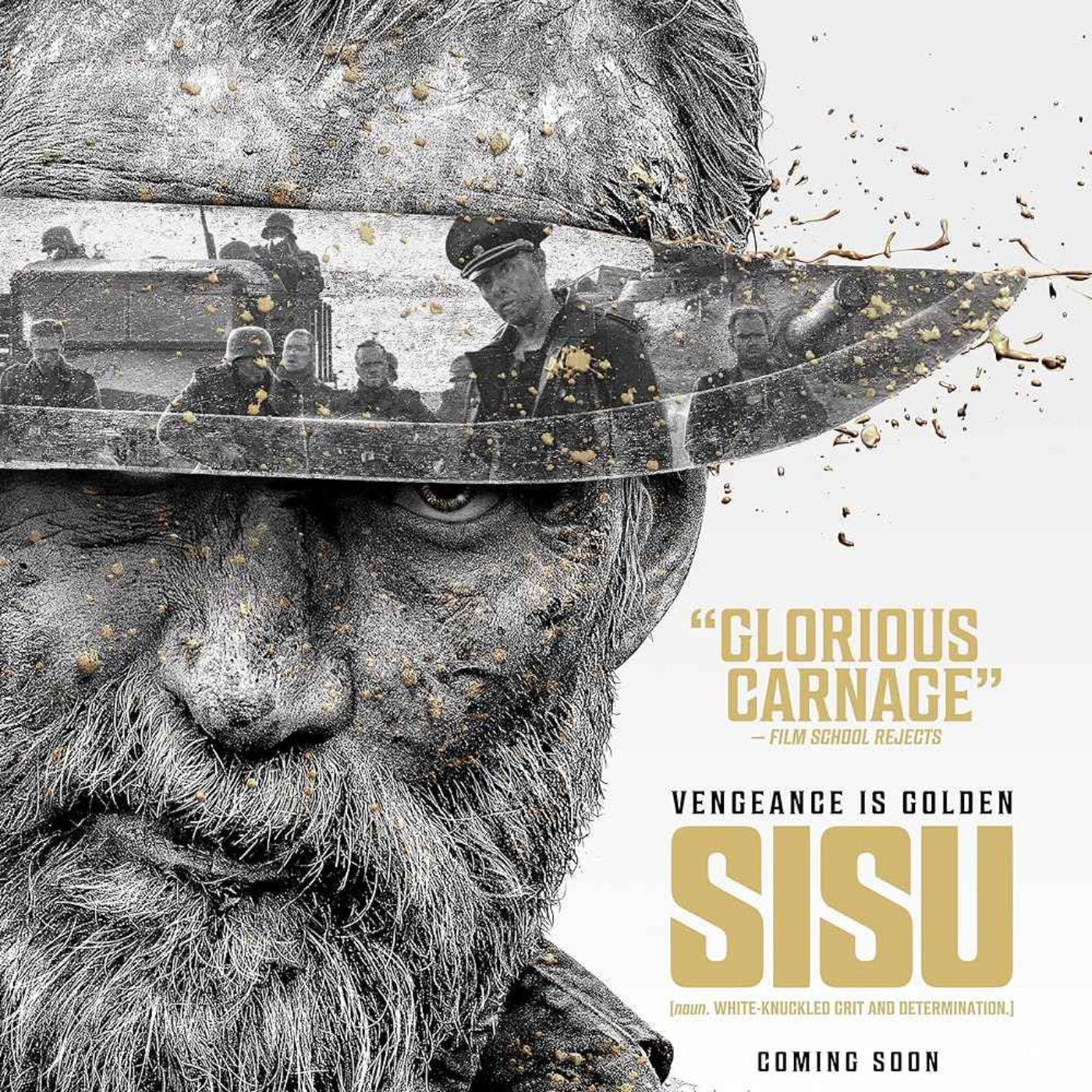 Sisu: Discussion