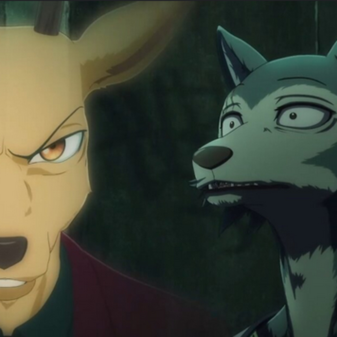 Beastars S3 Ep. 3 What a weird way to say hello