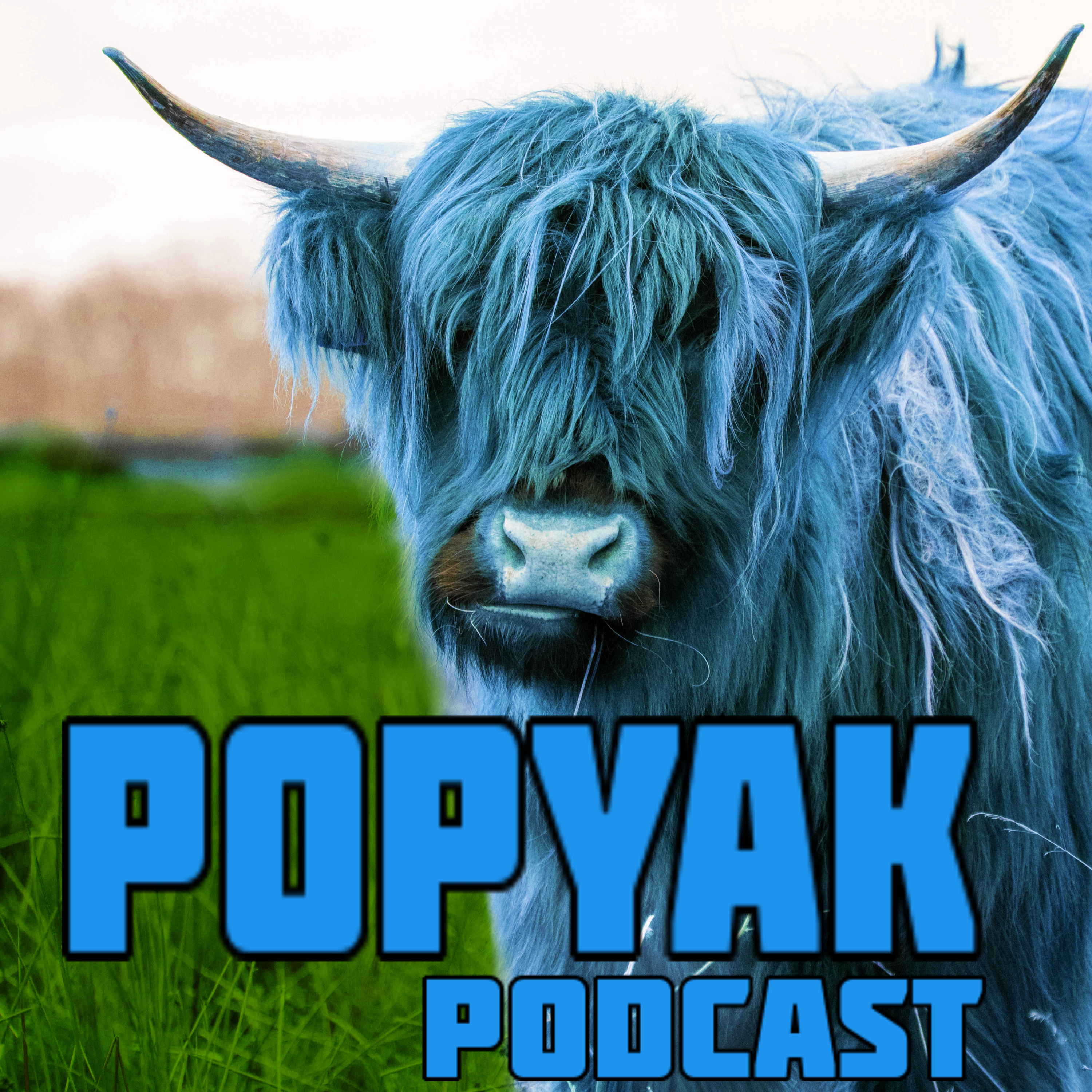 State of The Yak