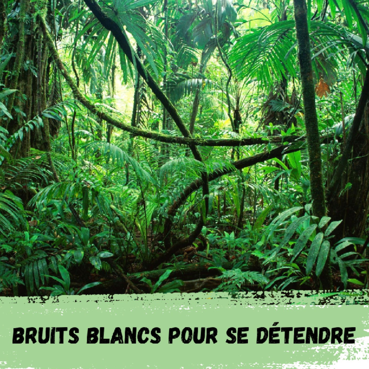 Bruits Blancs pour se détendre / White Noises to relax