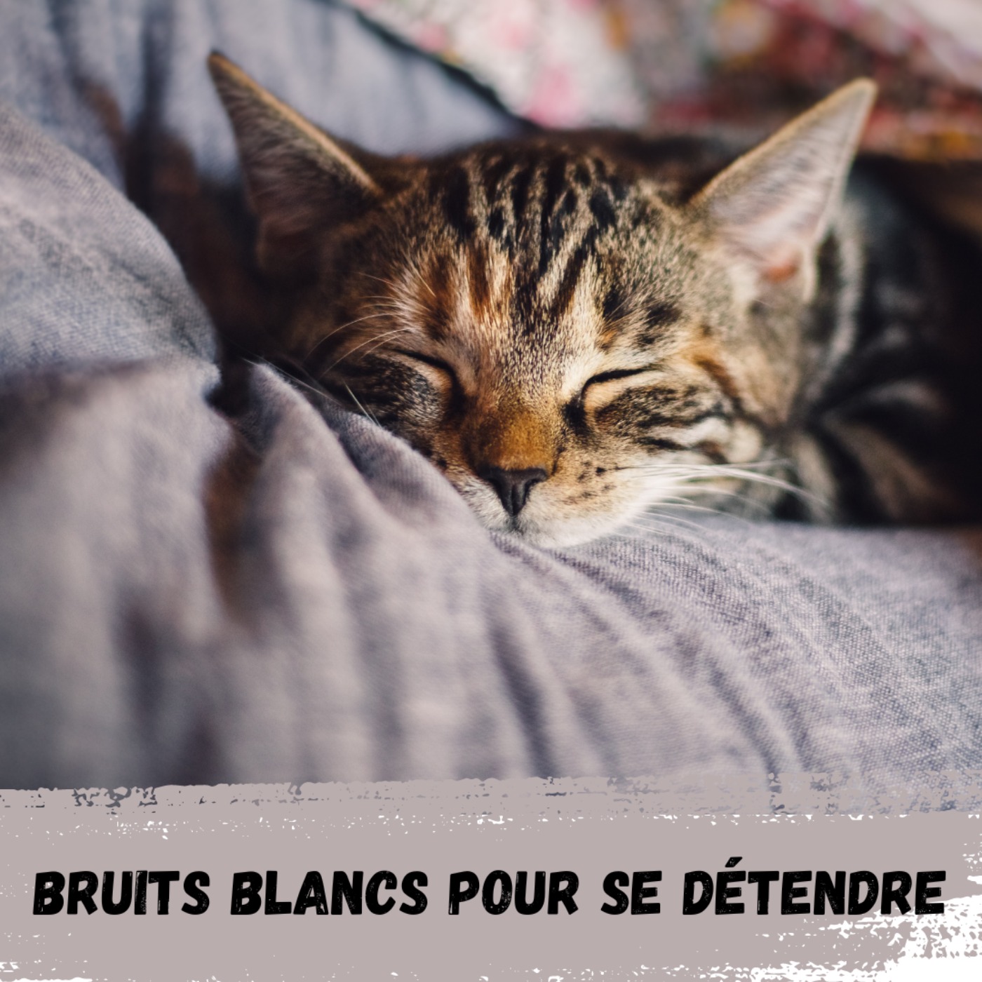 Bruits Blancs pour se détendre / White Noises to relax