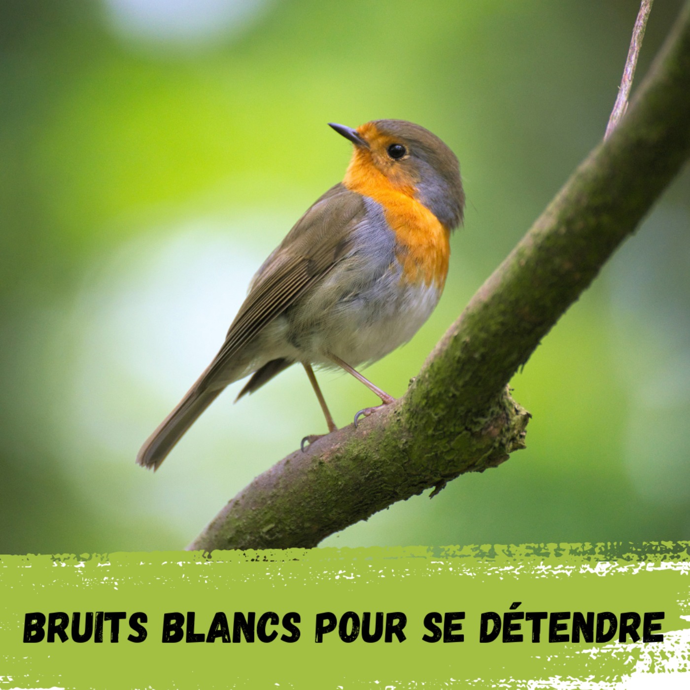 Bruits Blancs pour se détendre / White Noises to relax