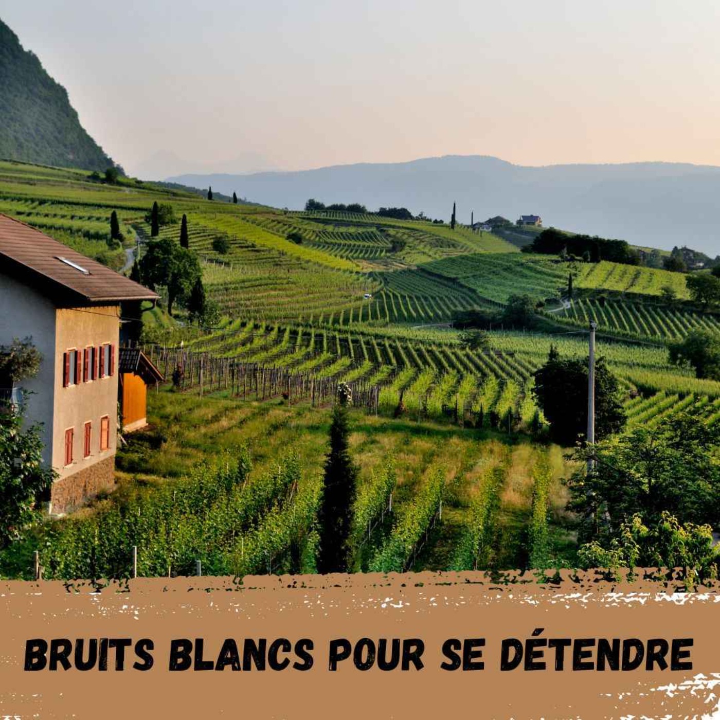 Bruits Blancs pour se détendre / White Noises to relax