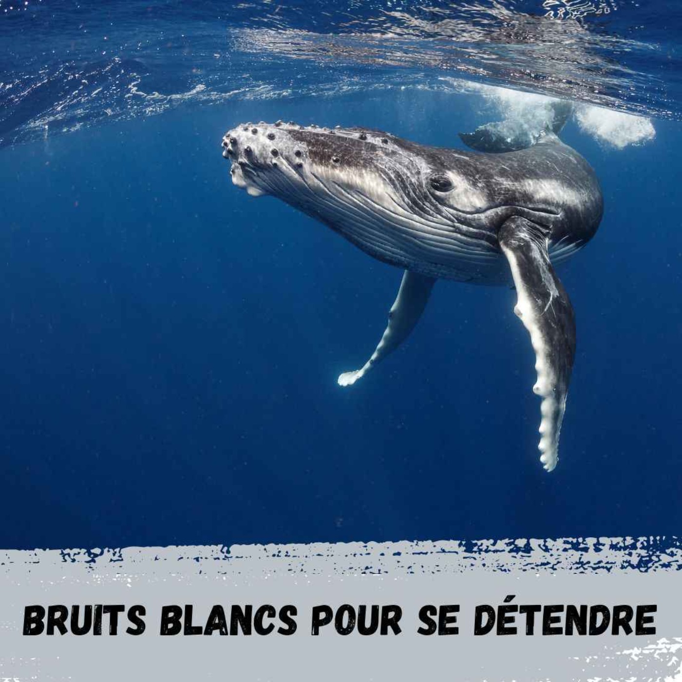 Bruits Blancs pour se détendre / White Noises to relax