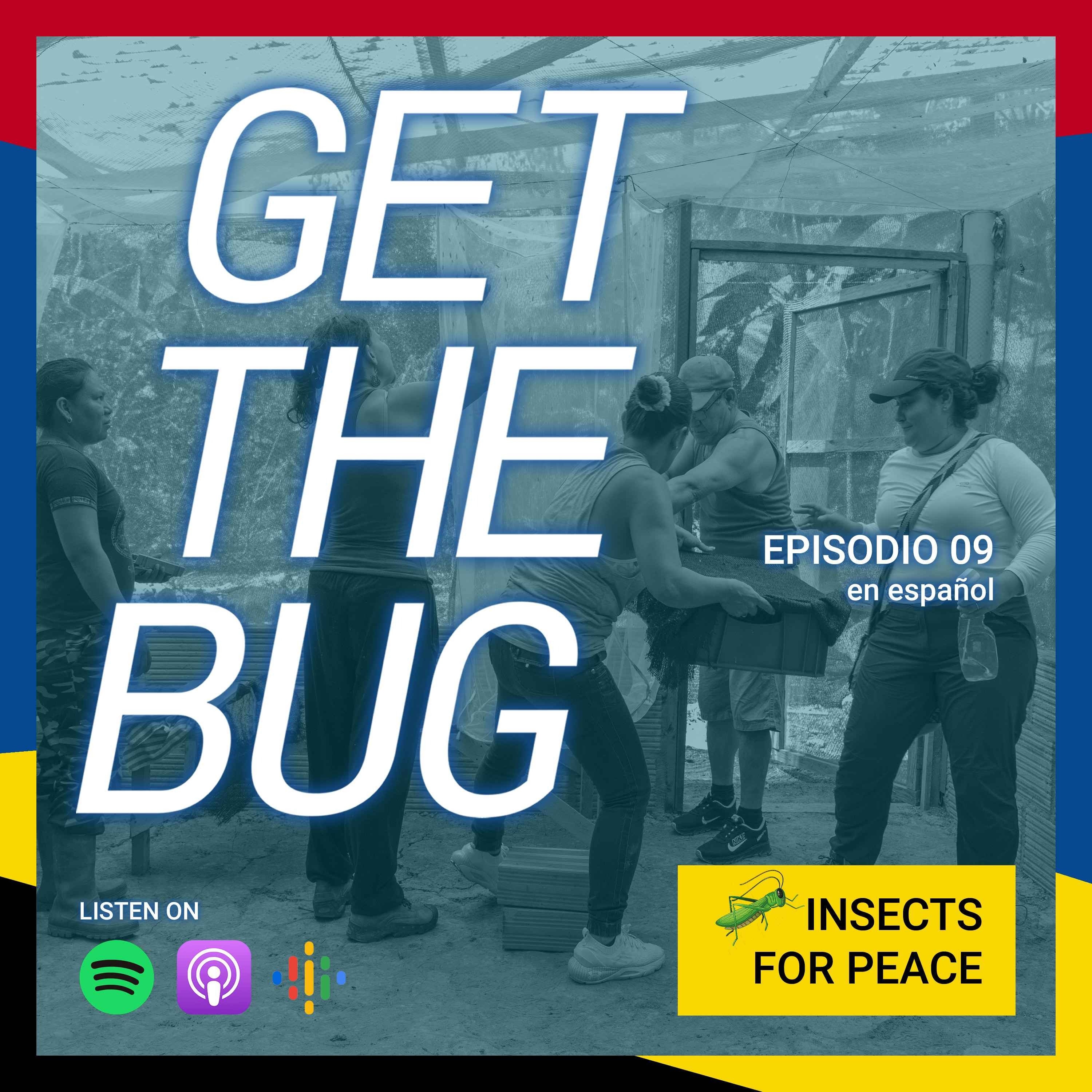 Get The Bug