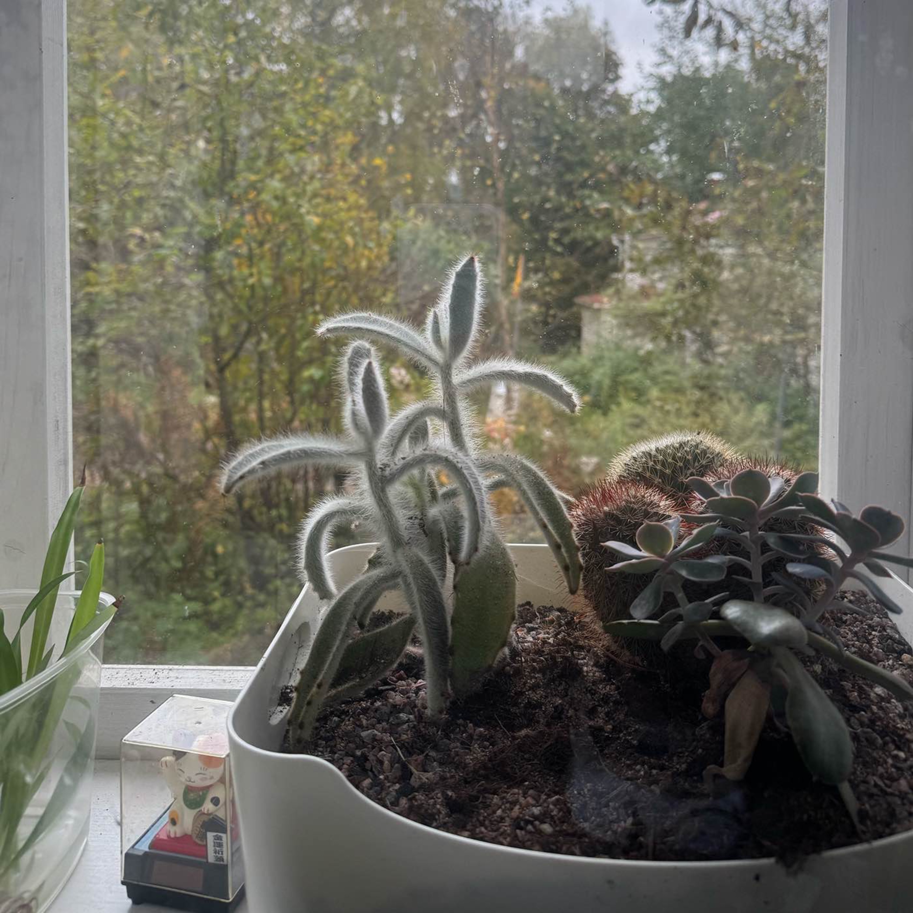 Having a social practice – with Andrew Gryf Paterson