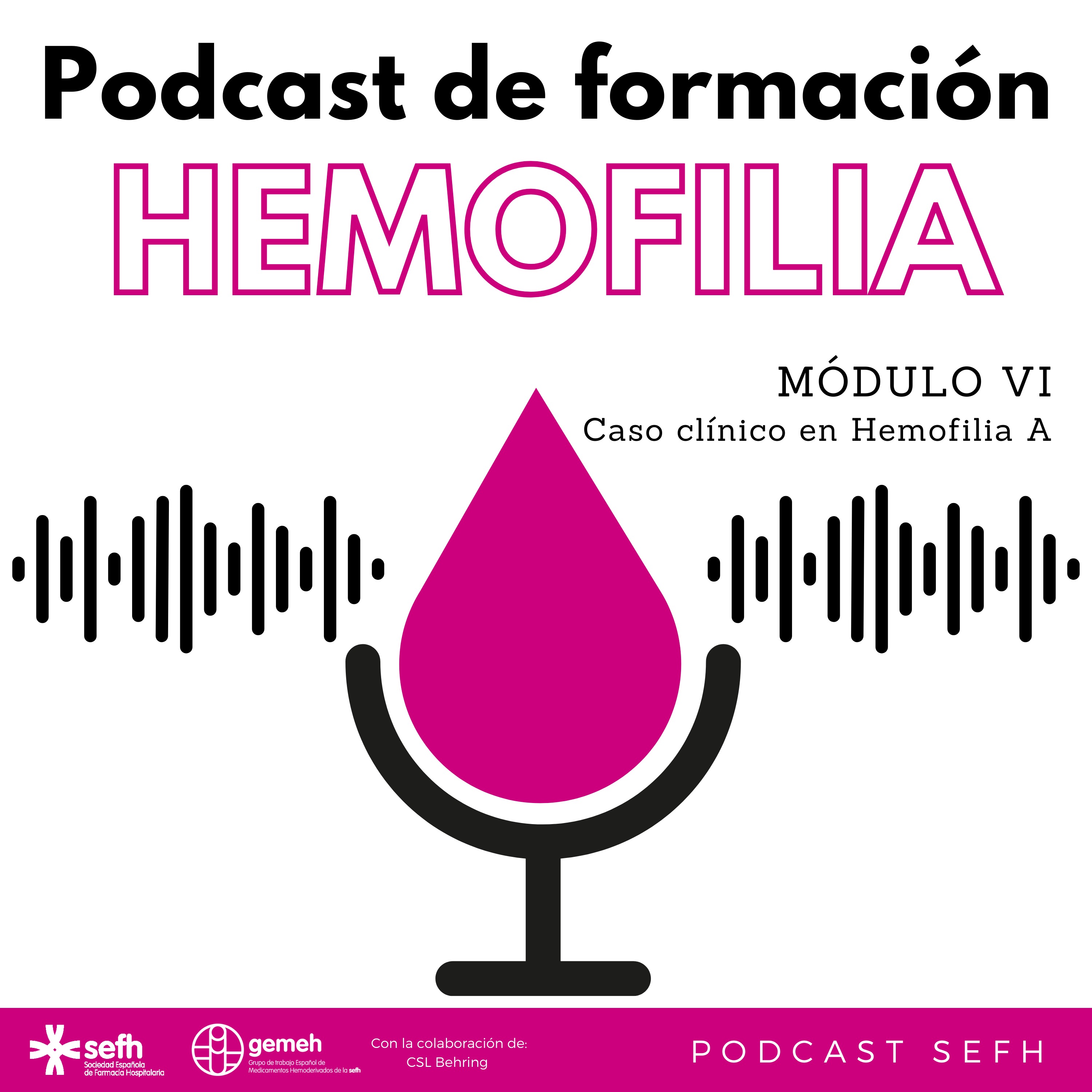Sociedad Española de Farmacia Hospitalaria (SEFH)