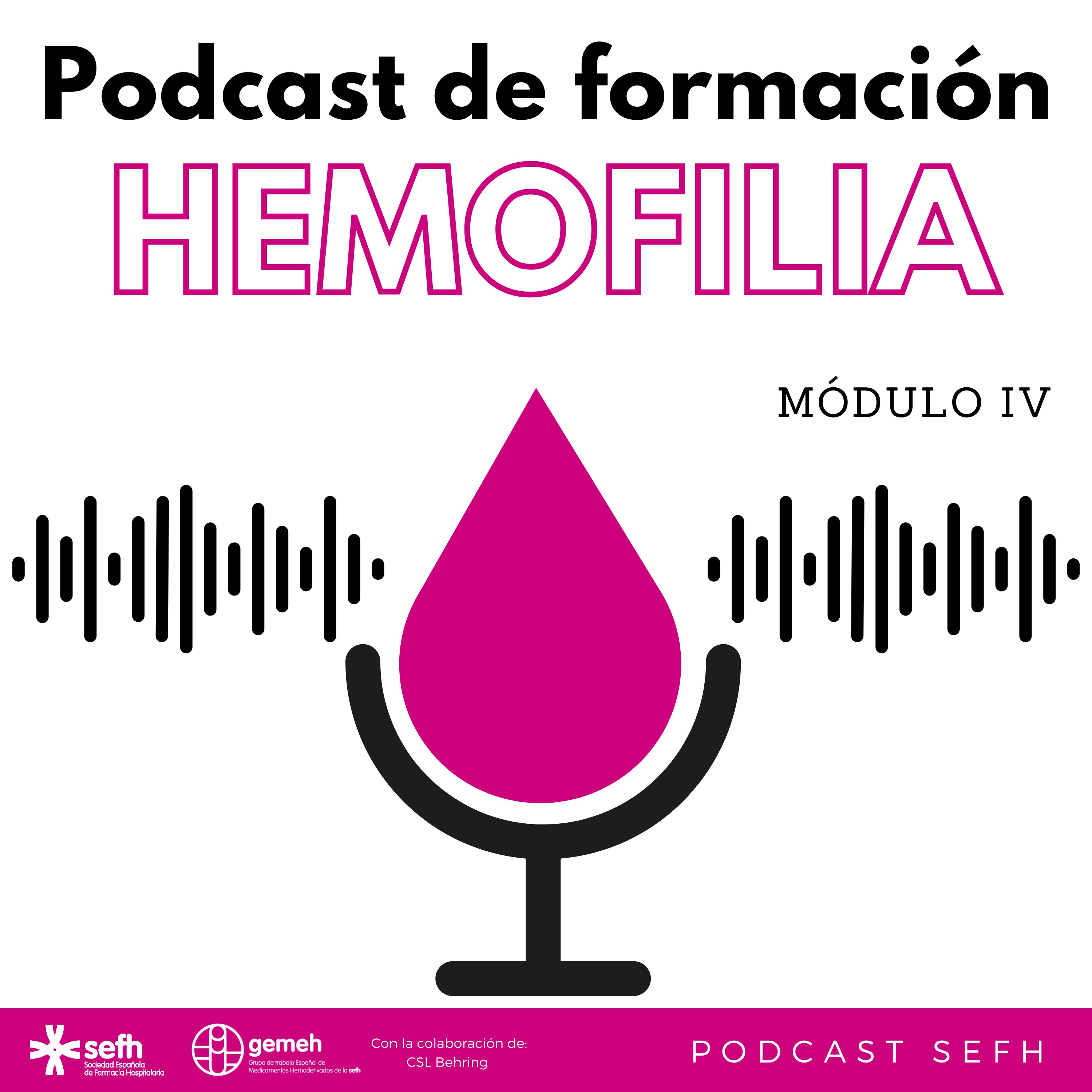 Sociedad Española de Farmacia Hospitalaria (SEFH)
