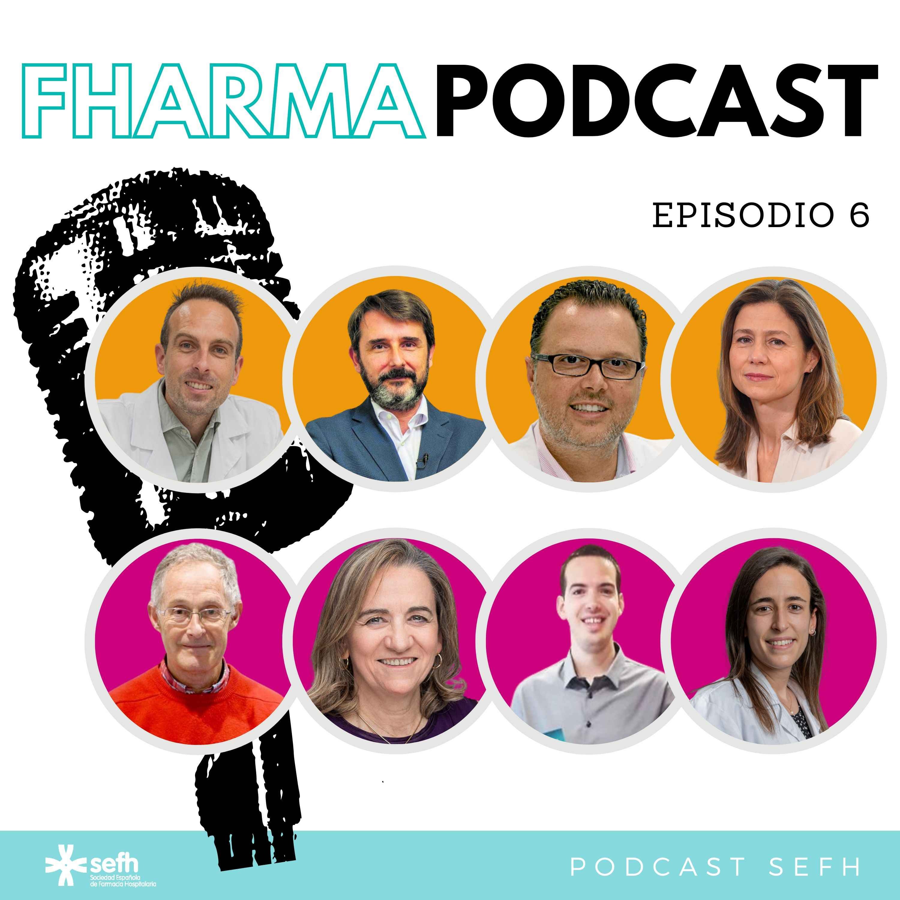 Sociedad Española de Farmacia Hospitalaria (SEFH)