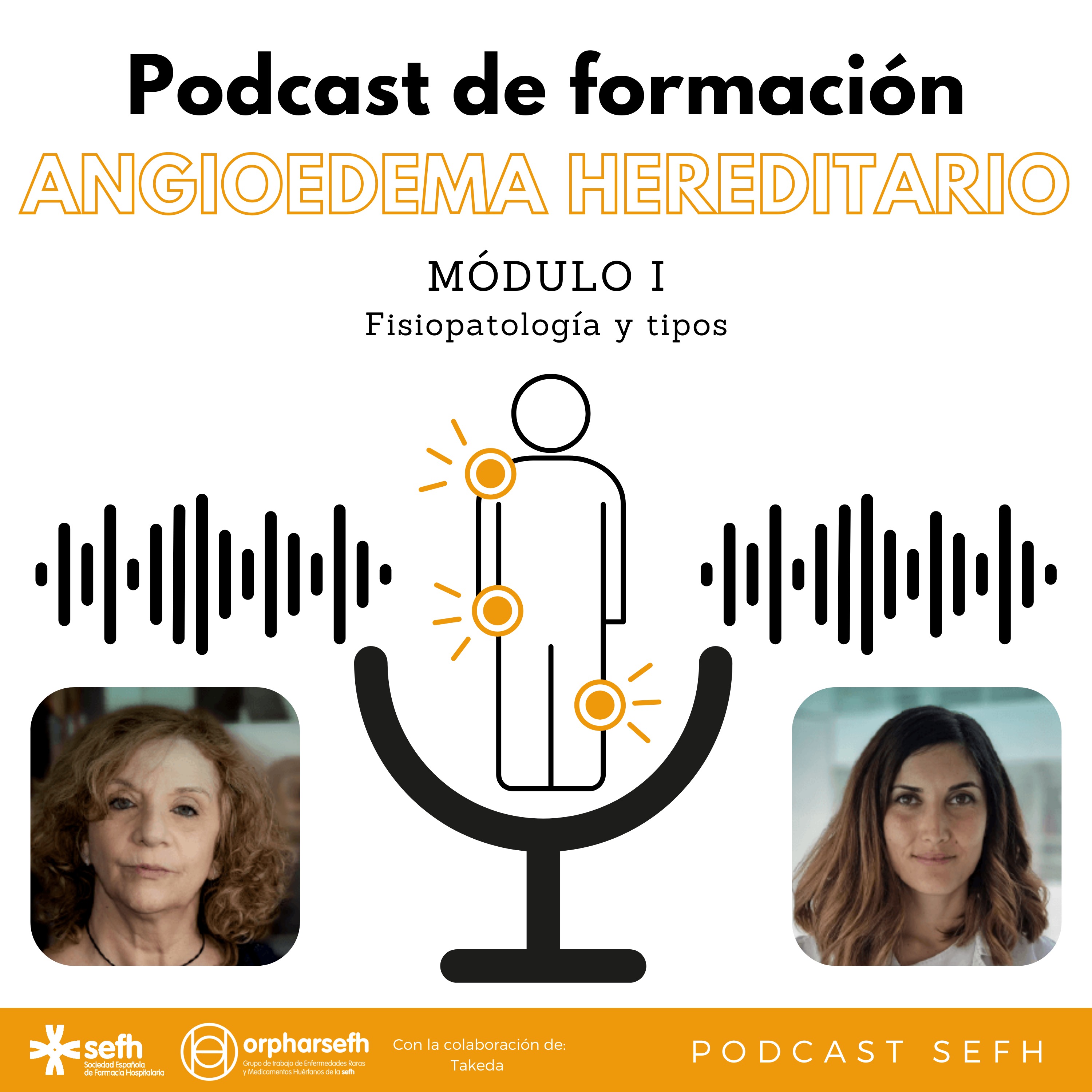 Sociedad Española de Farmacia Hospitalaria (SEFH)