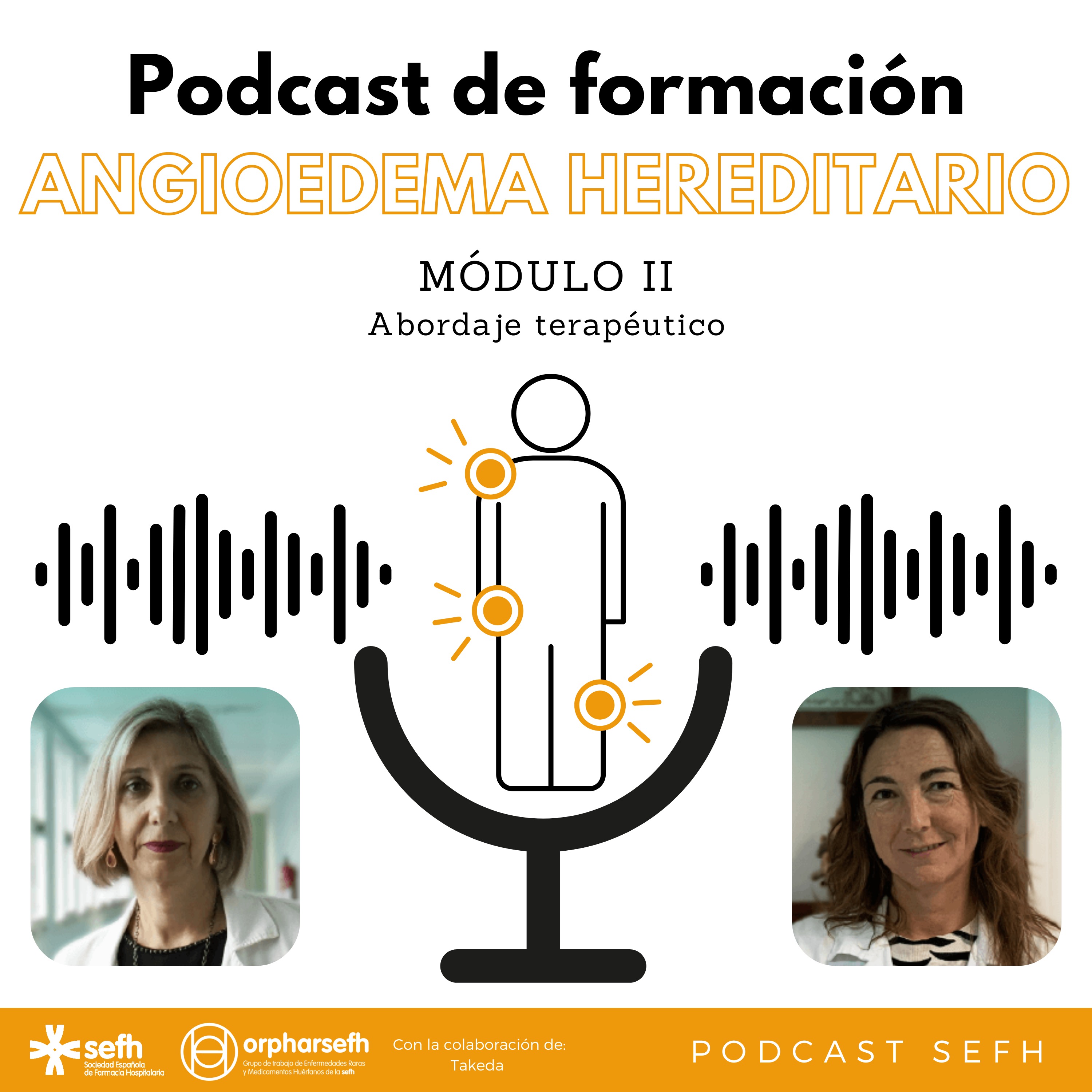 Sociedad Española de Farmacia Hospitalaria (SEFH)