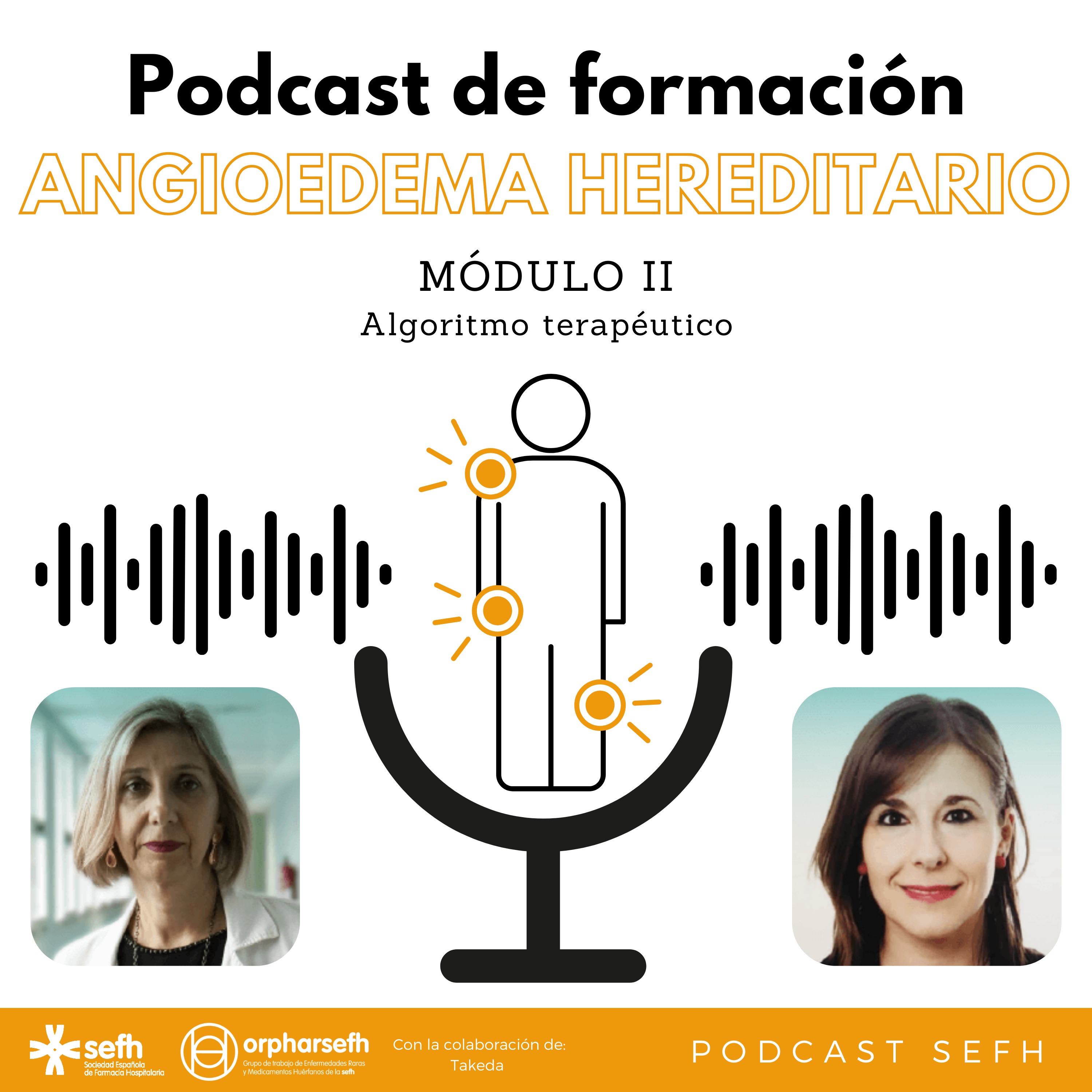 Sociedad Española de Farmacia Hospitalaria (SEFH)