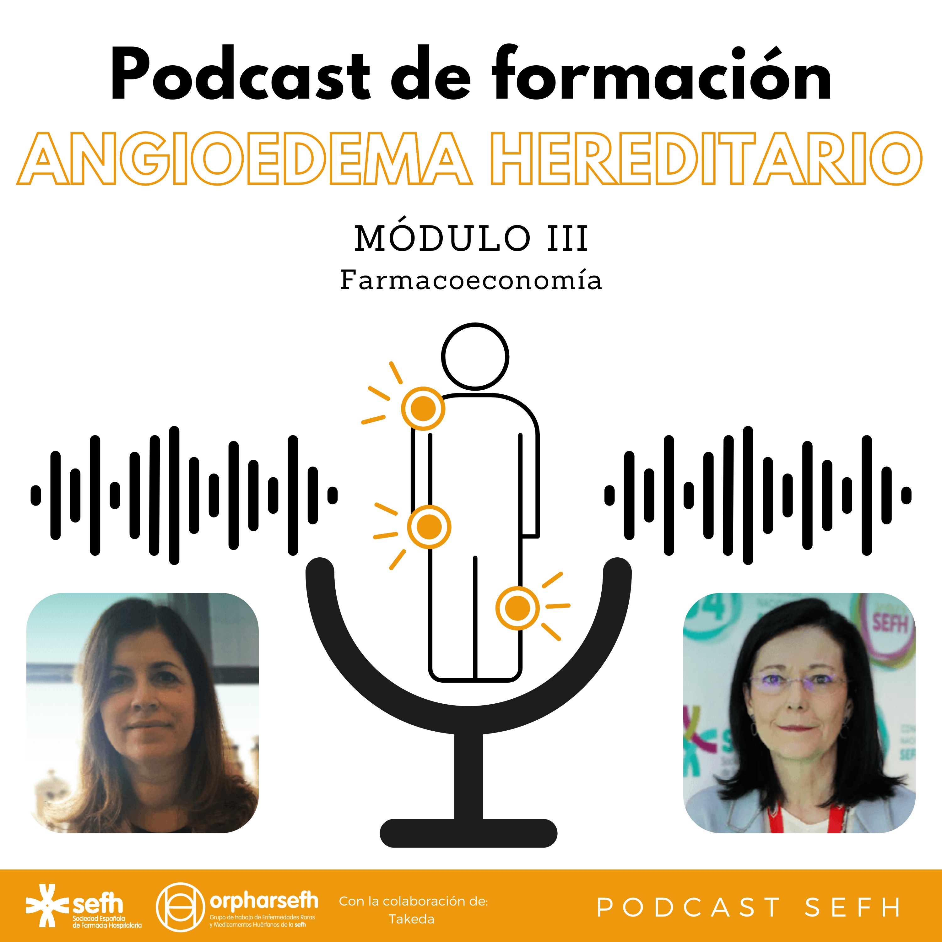 Sociedad Española de Farmacia Hospitalaria (SEFH)