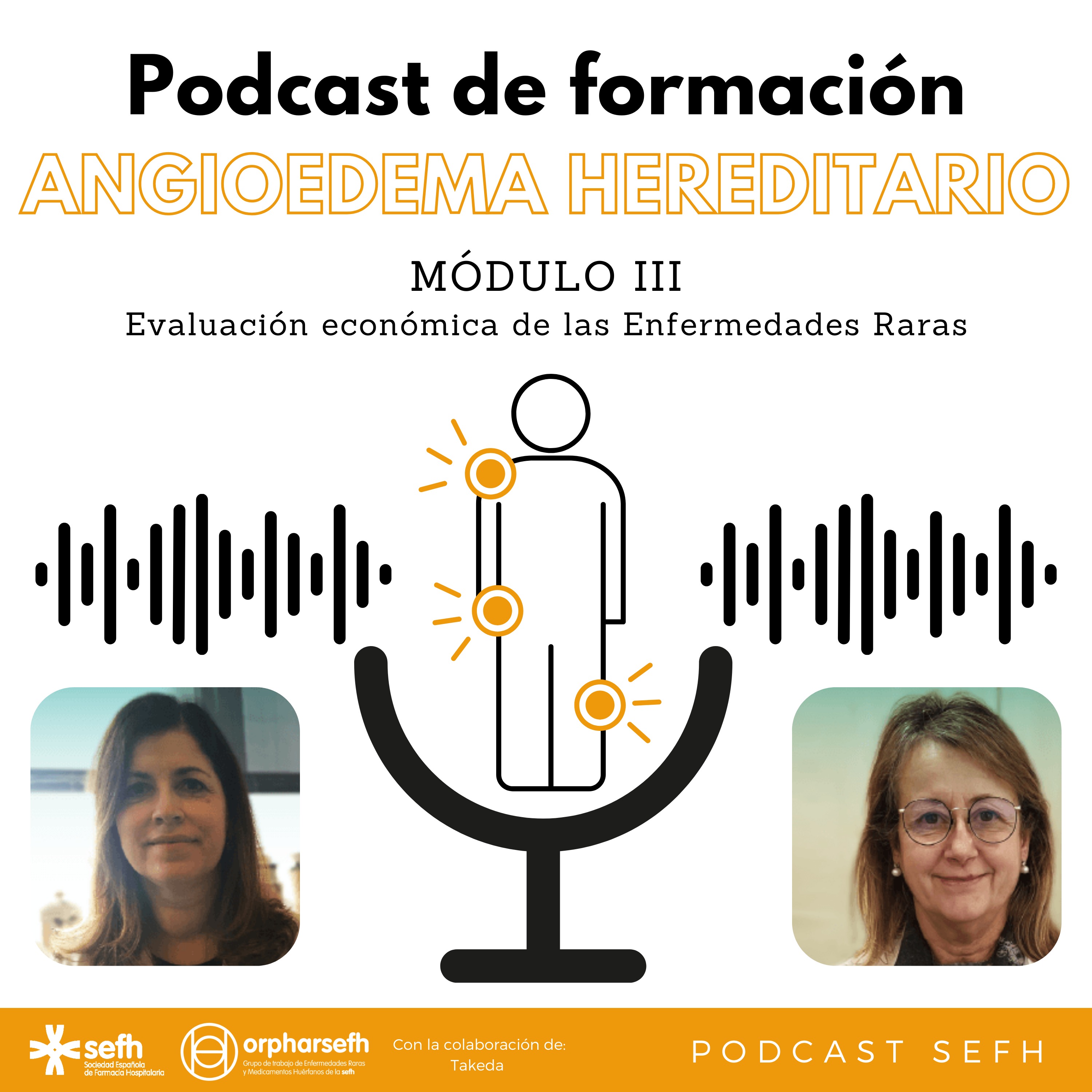 Sociedad Española de Farmacia Hospitalaria (SEFH)