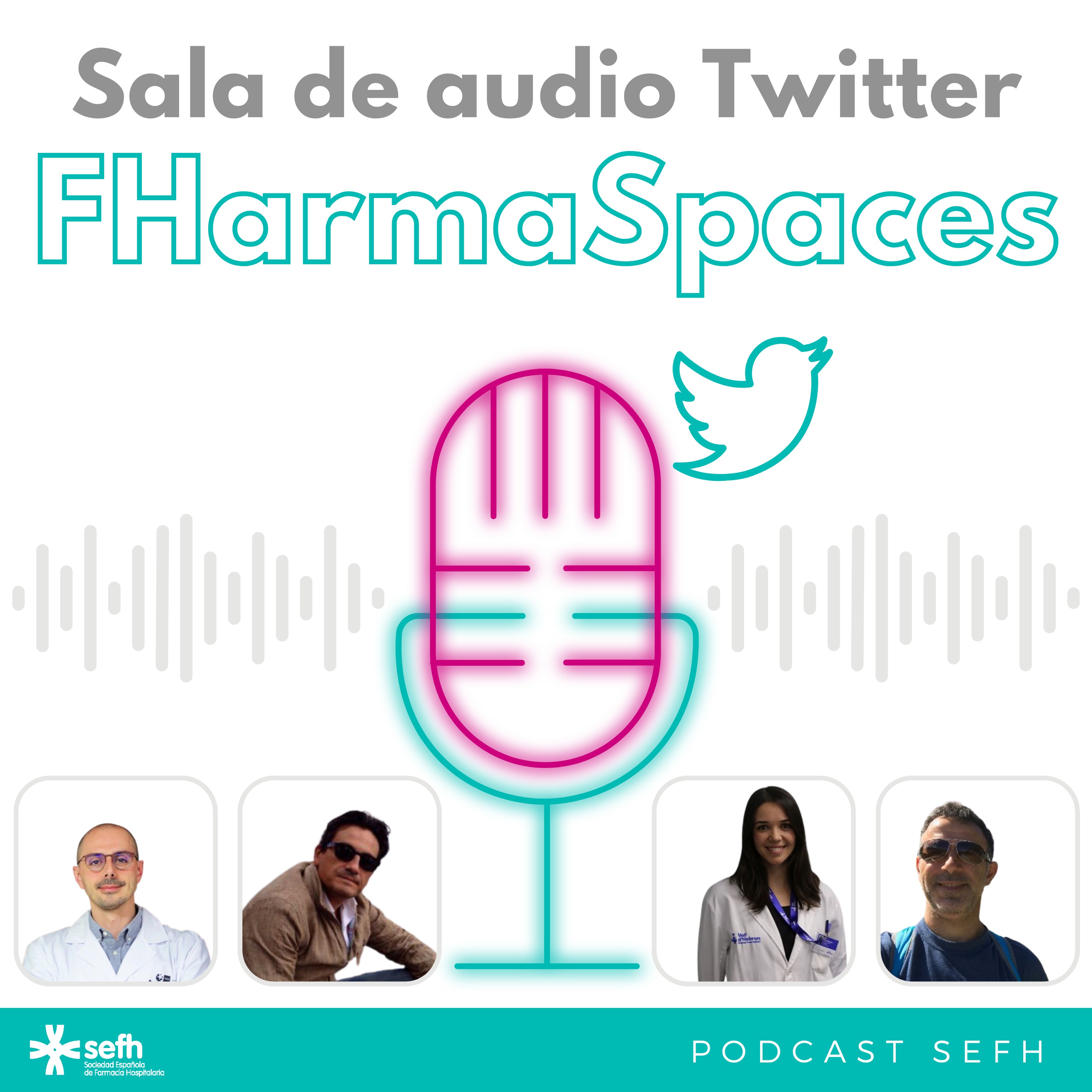 Sociedad Española de Farmacia Hospitalaria (SEFH)