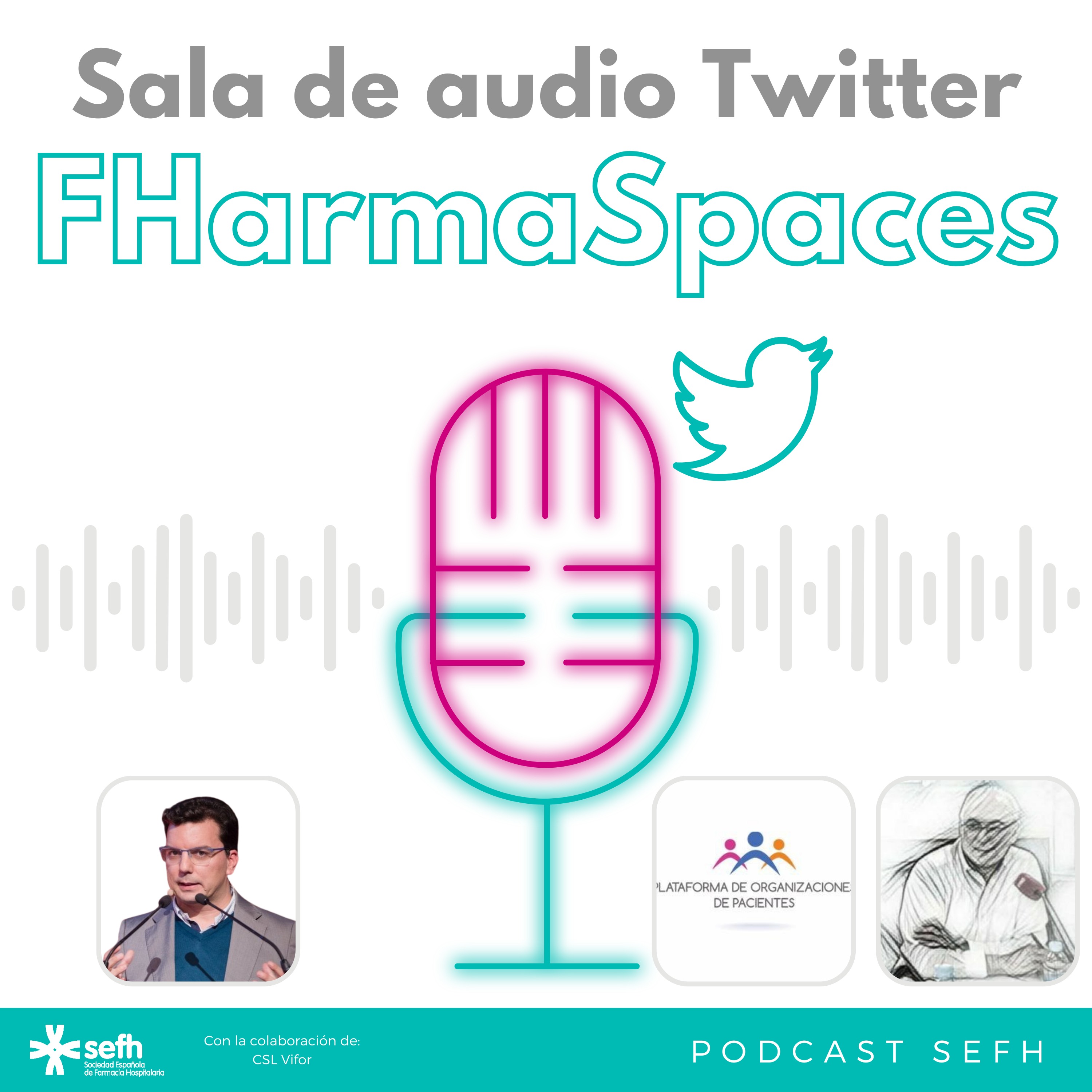 Sociedad Española de Farmacia Hospitalaria (SEFH)