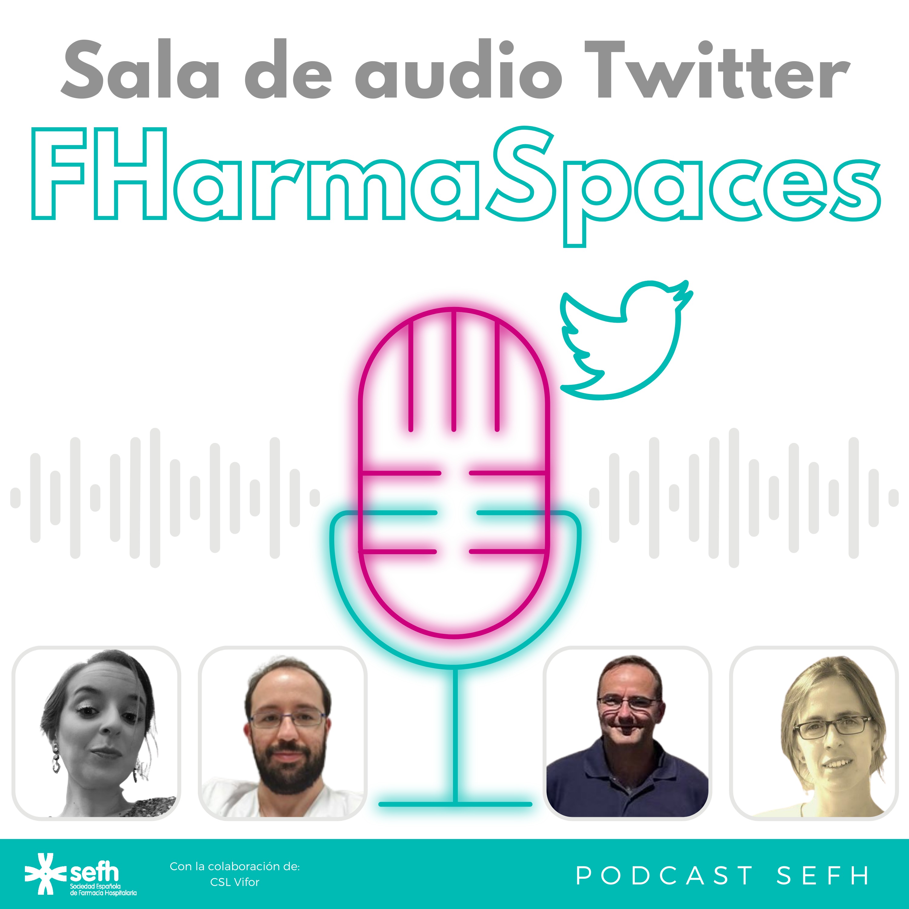 Sociedad Española de Farmacia Hospitalaria (SEFH)