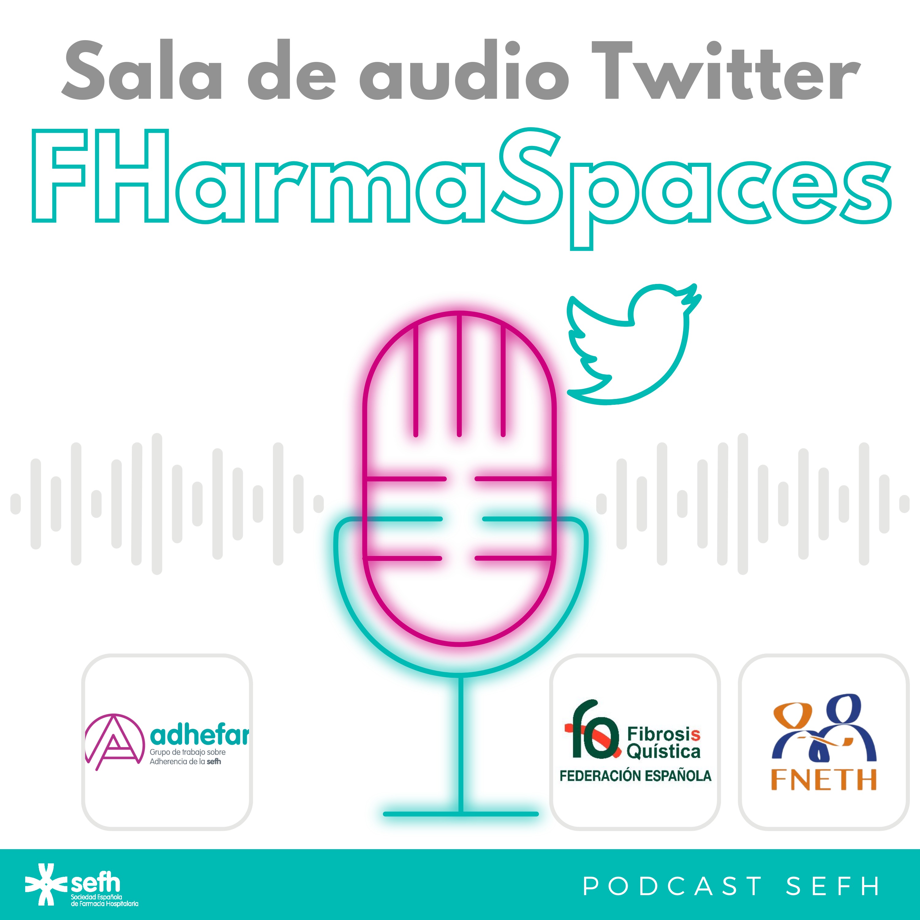 Sociedad Española de Farmacia Hospitalaria (SEFH)